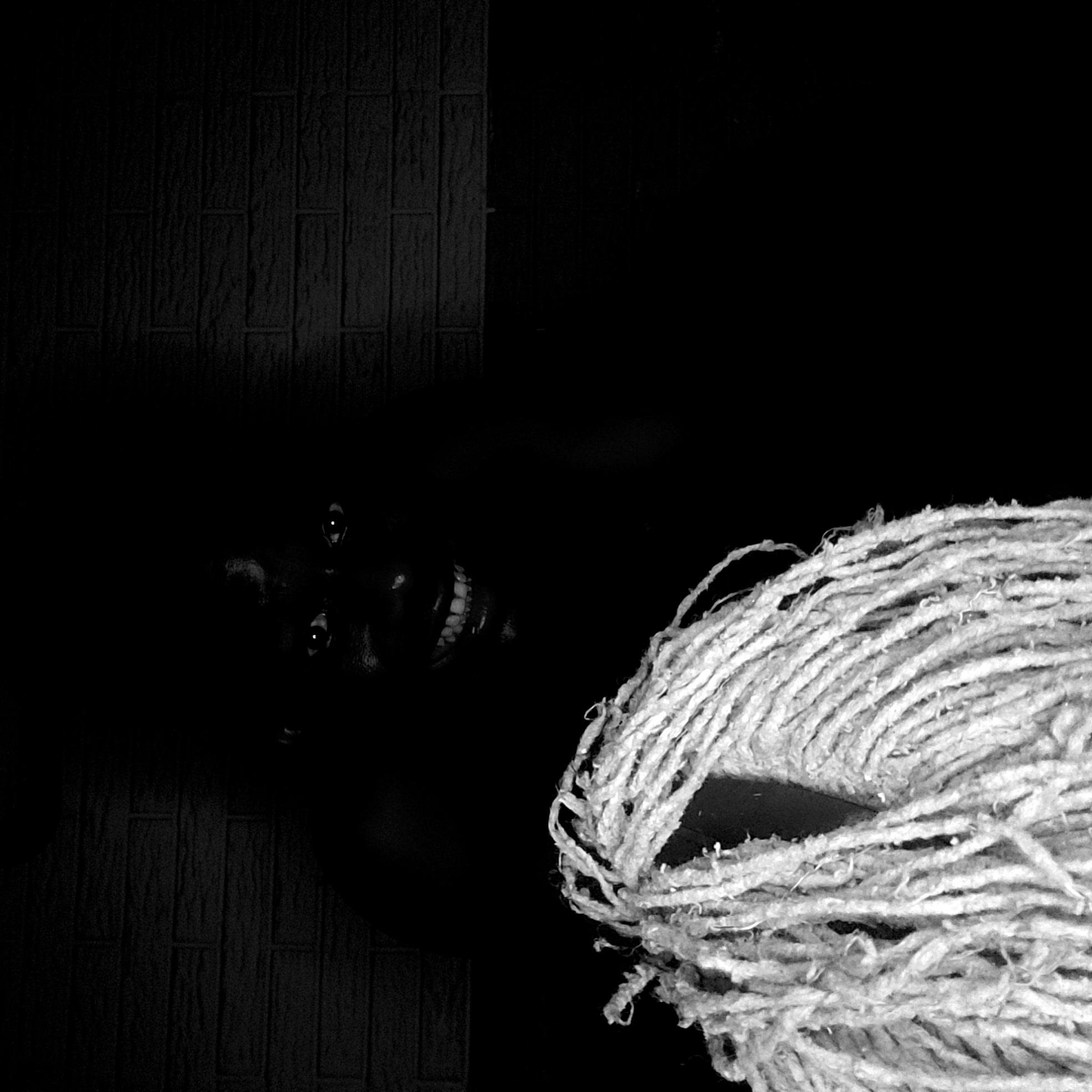 The black and white image, potentially taken in a darkened room in Narayi, Nigeria, shows a partial view of a person and a coiled mop head. The person's face is visible in the lower left quadrant; only their eyes and teeth are easily discernible. A dark surface with vertical brick-like patterns is visible to the left of the face. The mop head dominates the lower right quadrant, with its strands appearing white. The background is generally dark.