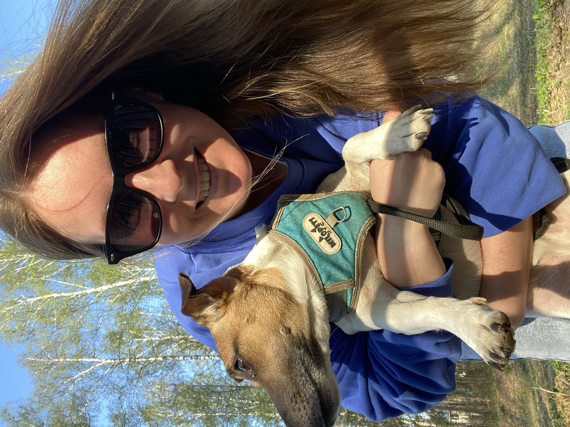 A woman with sunglasses is holding a dog wearing a blue and green vest. The dog has brown and white fur. The woman is wearing a blue long-sleeved shirt. The background shows trees and a blue sky. The image may have been taken outdoors in Noviy, Russia, but there is not enough information to conclude this definitively.