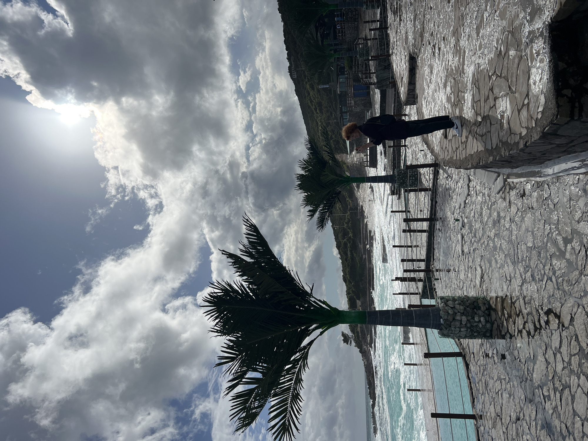 A vertically-oriented outdoor scene shows a coastline under a cloudy sky. The sun is shining through a break in the clouds. Two palm trees are visible in the foreground. The ground is made of a patterned stone walkway that appears to be wet. A person is standing on the walkway, appearing to be taking a picture with a device. The coastline slopes upward into a hill. The location is Prijevor, Montenegro.