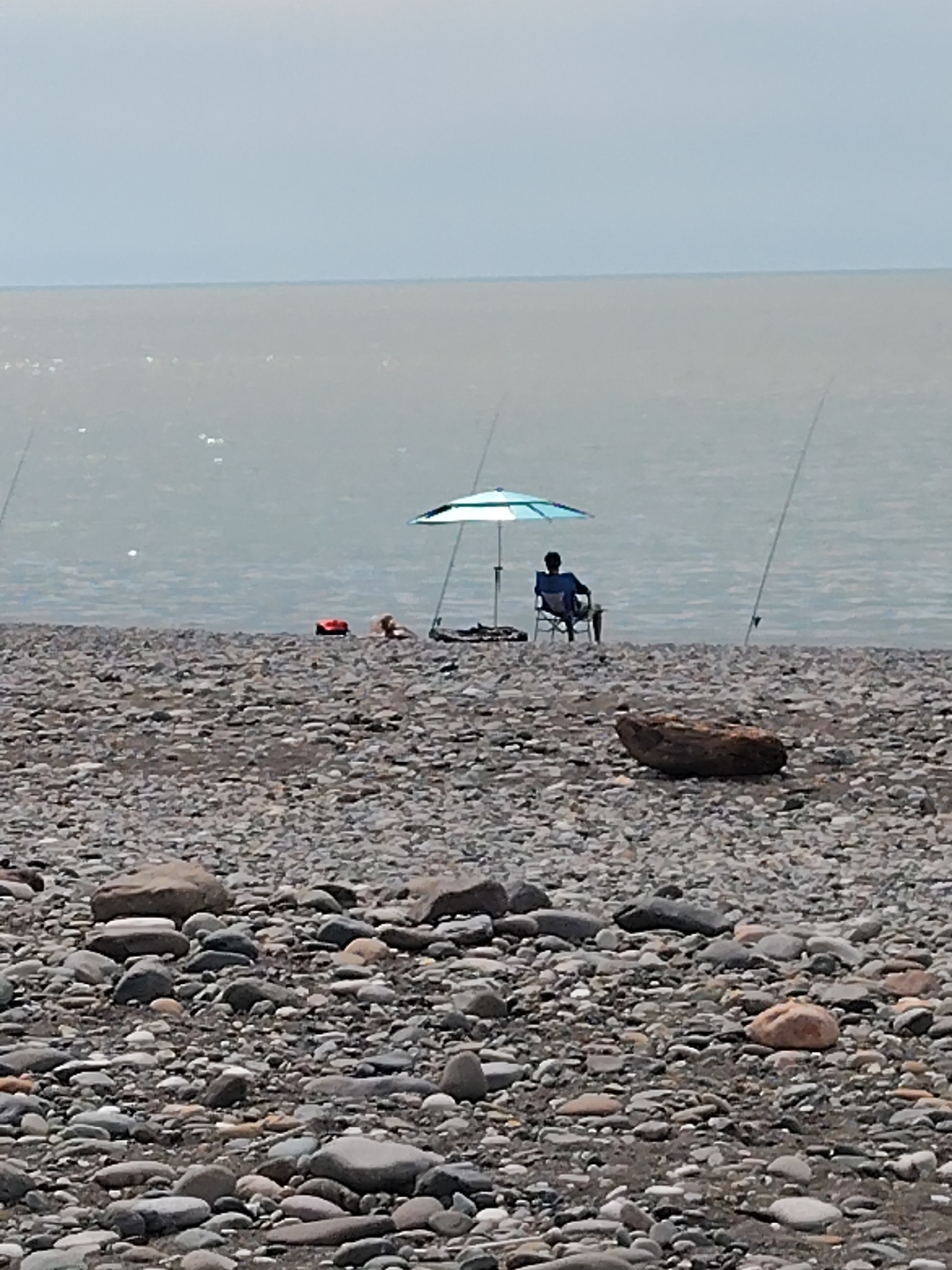 A fisherman sits in a blue chair under a light blue umbrella on a rocky beach in Batumi, Georgia. Two fishing rods stand in the sand on either side of him. A red object and what appears to be a dog or blanket are next to the chair. In the foreground is a rocky beach with large and small stones. Behind the beach is a body of water, possibly the Black Sea, and a grey sky.