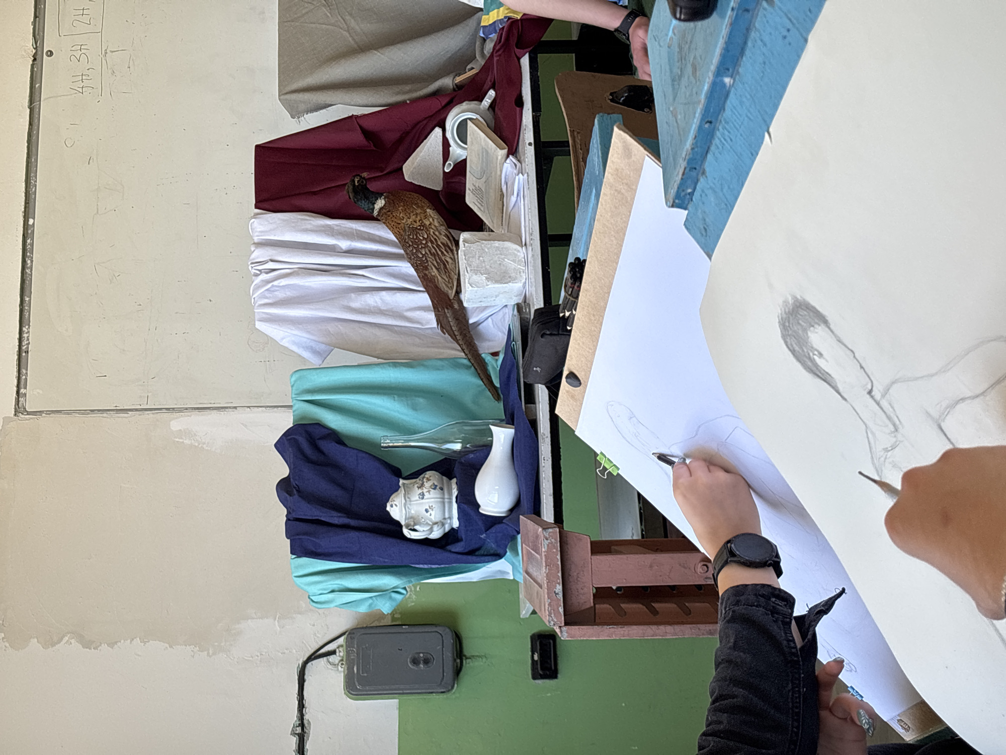 This image depicts an art class or studio session, focusing on a still life drawing exercise in what appears to be an art classroom in Troyan, Bulgaria.
The main subjects include a complex still life arrangement and two individuals actively drawing. The still life is set on a surface covered with draped fabrics in various colors: maroon, white, light blue, and dark blue. Prominently featured is a taxidermied pheasant with distinct brown, black, and iridescent blue-green plumage. Other objects in the still life include a white ceramic vase, a clear glass bottle, a white ceramic teapot or sugar bowl with a floral pattern, a small white ceramic cup or bowl, and several white plaster blocks or geometric shapes.
In the foreground, the hands and forearms of one person are visible as they hold a pencil and sketch on a piece of white drawing paper, which is secured to an easel. The drawing on the paper shows a preliminary sketch of a figure, possibly a head or torso. This individual wears a black long-sleeved garment and a black smartwatch on their left wrist. Part of another person's arm is visible on the right, also engaged in the drawing process.
The setting appears to be an art studio, characterized by functional elements. The walls are painted in two tones: a light beige or off-white on the upper section and a green color on the lower section. A dark gray electrical box is mounted on the green wall. Faint text is visible on the upper wall, including "HH, 3A" and "2H", which are likely markings for pencil hardness grades. The scene is brightly lit, suggesting daytime conditions. The overall activity conveys a focused and educational environment.