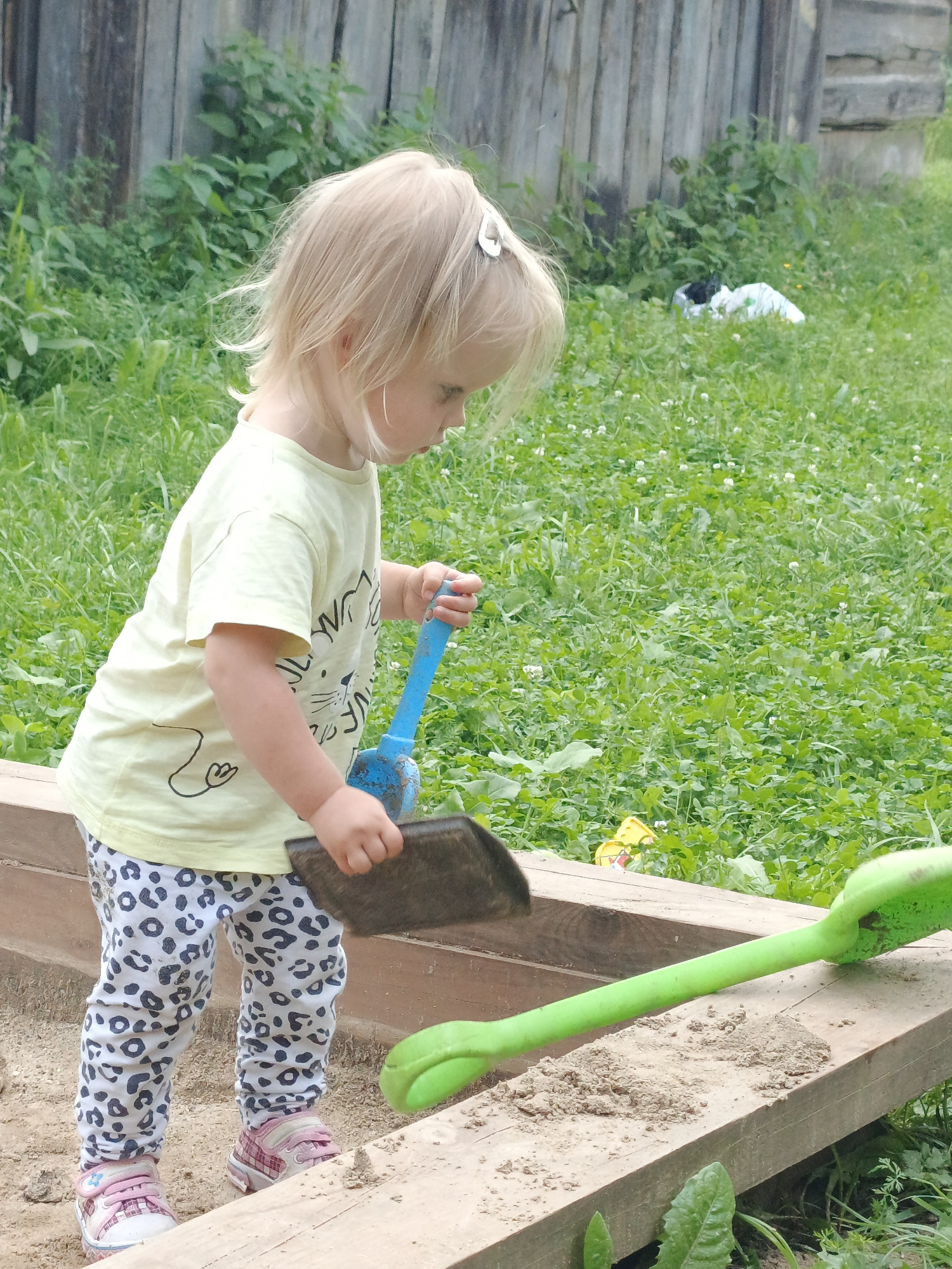 A young girl with blonde hair, wearing a yellow t-shirt and leopard-print pants, is playing in a sandbox. She is holding a blue shovel and a brown trowel, seemingly engaged in digging or scooping sand. The sandbox is constructed with wooden planks. To the right of the sandbox, a large green toy shovel is visible. The background consists of a wooden fence and green grass with scattered white clover flowers. The scene appears to be in an outdoor, possibly rural, setting.