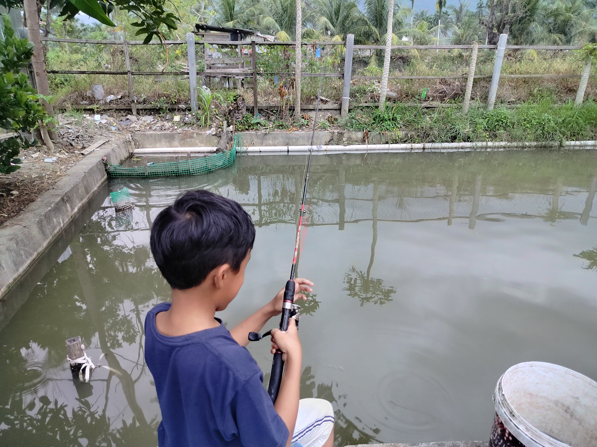 In Lembahalas, Indonesia, a young boy with dark hair, wearing a blue t-shirt and white shorts, is fishing by a pond. He holds a fishing rod, its line extending into the murky water. The pond, bordered by concrete edges, is surrounded by lush greenery and palm trees. A dilapidated wooden fence runs along the back of the pond, separating it from a densely vegetated area. The environment appears rural and somewhat unkempt, with debris visible near the fence. To the right, a white bucket rests on the edge of the pond. The sky is overcast, casting a diffused light on the scene.