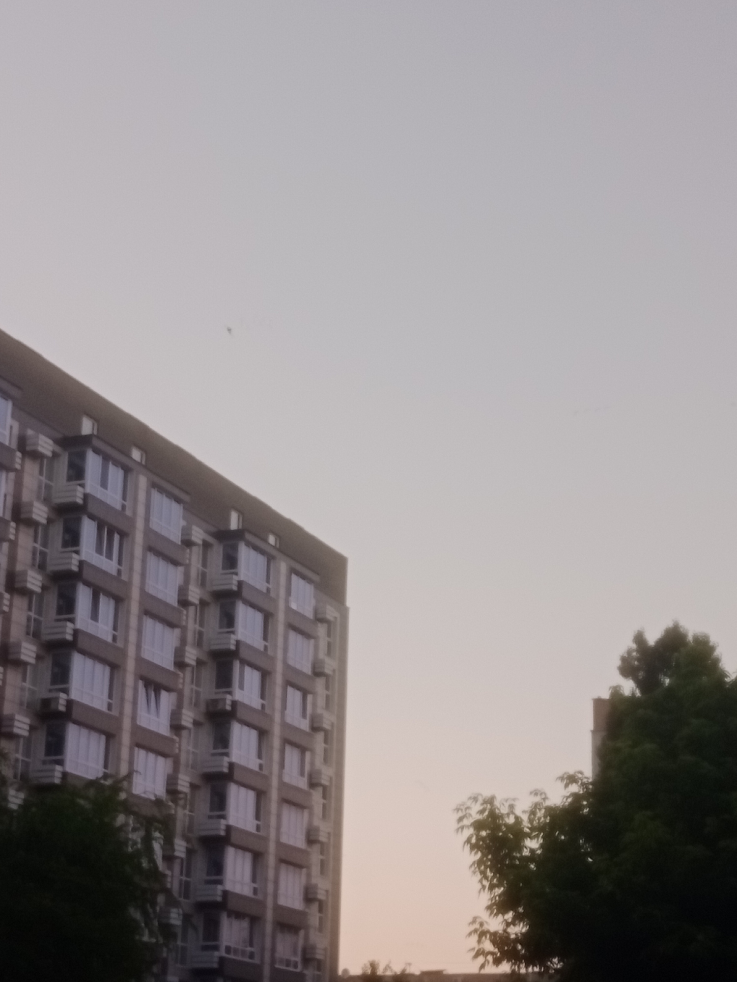 The image shows a view of residential buildings and trees against a hazy, light-colored sky. In the foreground on the left, a tall, modern apartment building with numerous windows and balconies is visible. The building has a light-colored facade with darker accents around the windows and balconies. To the right and slightly behind the first building, a portion of another, darker building is visible, partially obscured by dense green foliage of trees. The trees in the foreground on the right are lush and dark green, with some lighter green leaves visible. The sky is overcast and appears to be either early morning or late evening due to the soft, diffused light. There are no visible people in the image. The scene depicts a typical urban residential area, possibly in Horishni Plavni, Ukraine.
