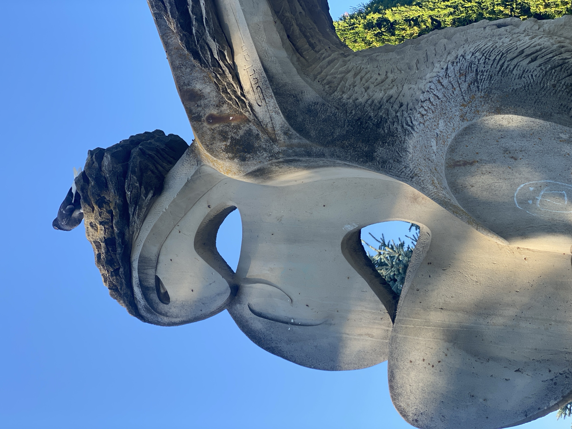 A pigeon is perched on top of a large, abstract concrete sculpture under a clear blue sky. The sculpture has smooth, curved surfaces with rough, textured areas and carved inscriptions. One inscription reads "Sultan". There are openings within the sculpture, through which parts of evergreen trees are visible. The sculpture appears weathered, with some moss and dirt accumulation. The lighting suggests it is daytime, with sunlight casting shadows on the sculpture. The overall scene is outdoors, likely in a public space given the nature of the sculpture. There are no people visible in the image. The concrete sculpture is located in the Alley of Classics in Chișinău, Moldova, and it is dedicated to Ion Druță.