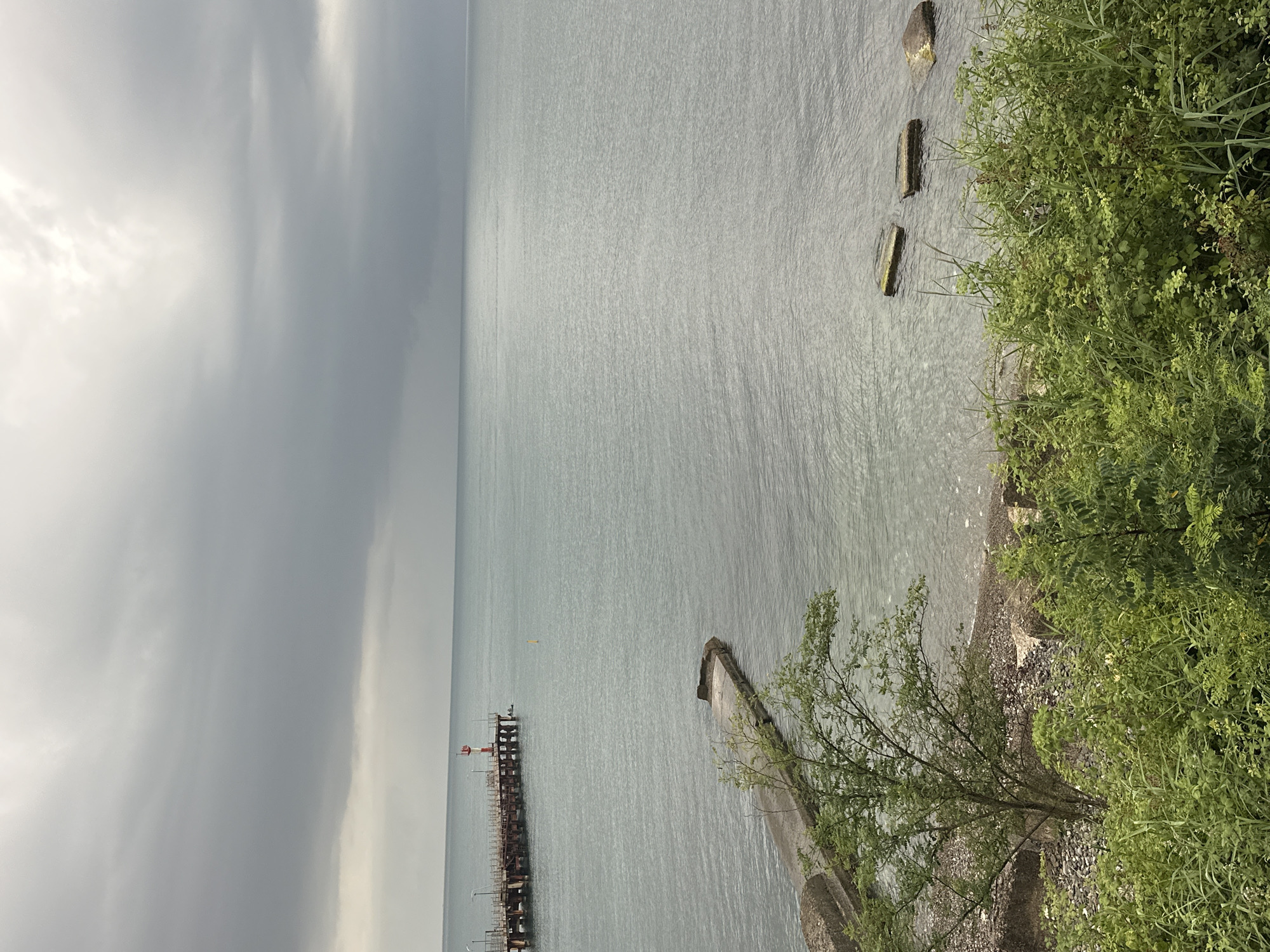 The image depicts a view of the Black Sea from the shore in Sochi, Russia. In the distance, a long pier extends into the water, with a red and white lighthouse at its end. A small yellow buoy is visible in the sea near the pier. Closer to the shore, a concrete structure, possibly a jetty or a breakwater, juts out into the water. Several rectangular concrete blocks are partially submerged in the sea near the shore. The foreground is dominated by lush green vegetation, including bushes and trees, with a rocky shoreline visible between the plants and the water. The sky is overcast with dark gray clouds, suggesting a cloudy or potentially rainy day. The water is calm and appears slightly choppy.