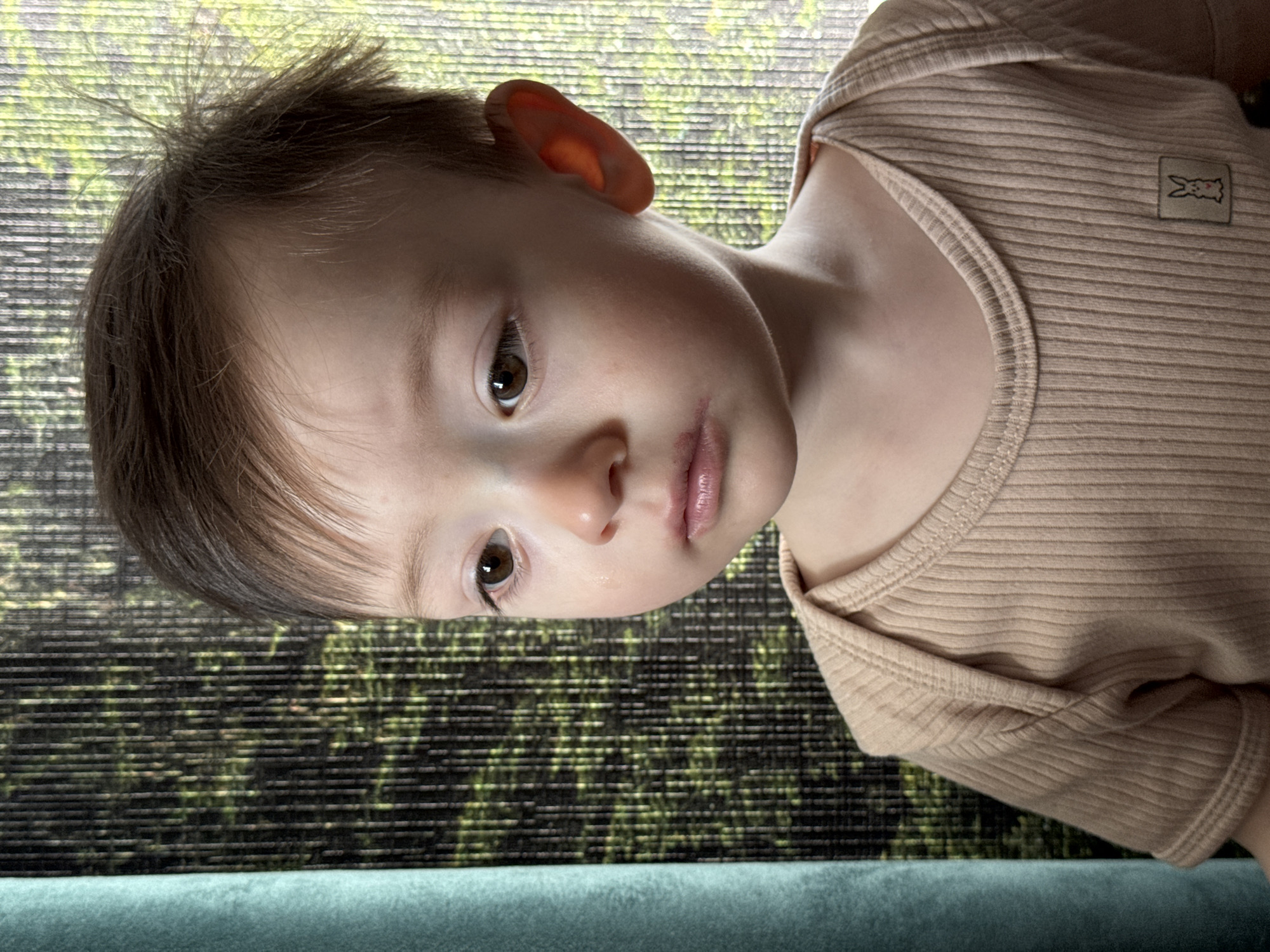 A close-up, slightly tilted portrait shows a young child with light skin, brown hair, and brown eyes. The child is wearing a ribbed, tan-colored shirt with a small patch featuring an animal design. The child's face is directed towards the camera. Behind the child is a window with a view of green foliage. The foreground includes a soft, teal-colored surface. The location cannot be determined based on the provided information.