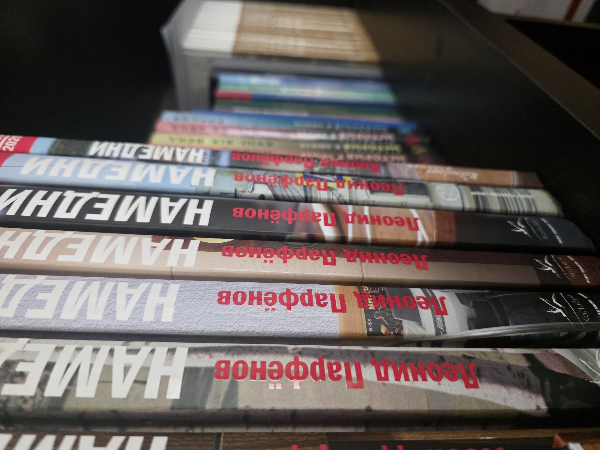 The image shows a bookshelf with several books. The spines of the books are facing the viewer, and the titles are visible on some of them. The books are of various colors and sizes. The shelf appears to be dark and made of wood. The background is dark, suggesting the image was taken in a dimly lit room. There are no people or animals visible in the image. The perspective is from a slight angle, looking across the bookshelf. The city of Bishkek, Kyrgyzstan is not mentioned or depicted in this image.