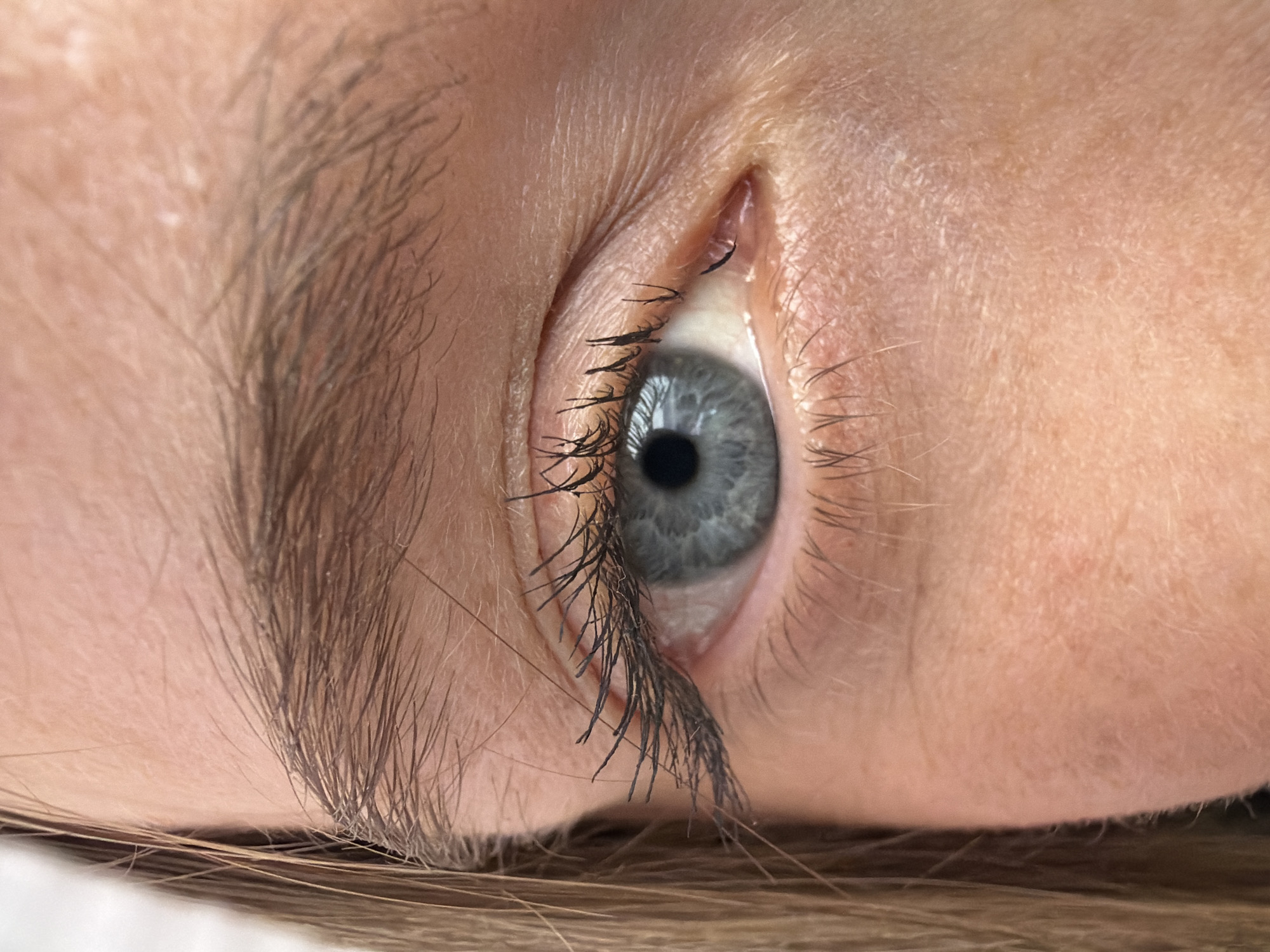 A close-up, high-angle shot focuses on a human eye, likely belonging to a young adult, with the subject's face oriented vertically. The eye features a clear, light blue-grey iris with a distinct dark pupil, reflecting a subtle light source, possibly a window or soft studio light. Long, dark eyelashes, appearing enhanced with mascara, sweep upwards and outwards from the lower lid, contrasting against the fair skin.
Above the eye, a dark, full eyebrow is partially visible, showing individual hair strands. The skin around the eye exhibits natural texture, including fine lines near the inner corner. Below the eye, strands of light brown or blonde hair are visible, suggesting the person is lying down or positioned in a way that their hair falls into view. The overall lighting is soft and even, highlighting the details of the eye and surrounding features. No specific activity or emotion is discernible from this detailed, static portrait. There is no visible text. The location context provided is Nizhneleninskoe, Russia.