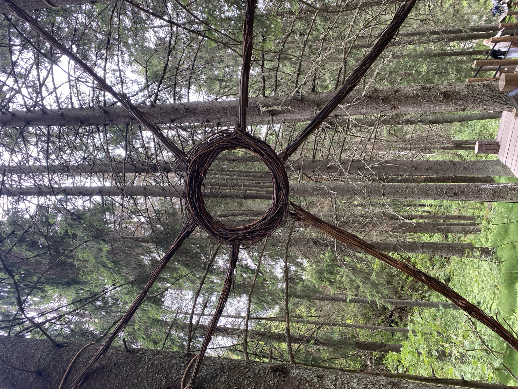 The image shows a natural, wooded environment, likely a forest, with tall evergreen trees. In the foreground, a large circular structure made of woven branches is prominently displayed, attached to several trees. The branches radiate outwards from the circle, creating a sunburst or star-like effect against the backdrop of the forest.
In the lower right portion of the image, a wooden walkway or staircase is visible, with several people walking on it. The people are small in the frame, suggesting they are some distance away. The walkway appears to be constructed with wooden planks and railings. The overall scene suggests an outdoor attraction or a park integrated into the natural landscape.
The description provided in the prompt about Lakhdenkiulya, Russia is not verifiable from the image itself and cannot be included in the factual description.