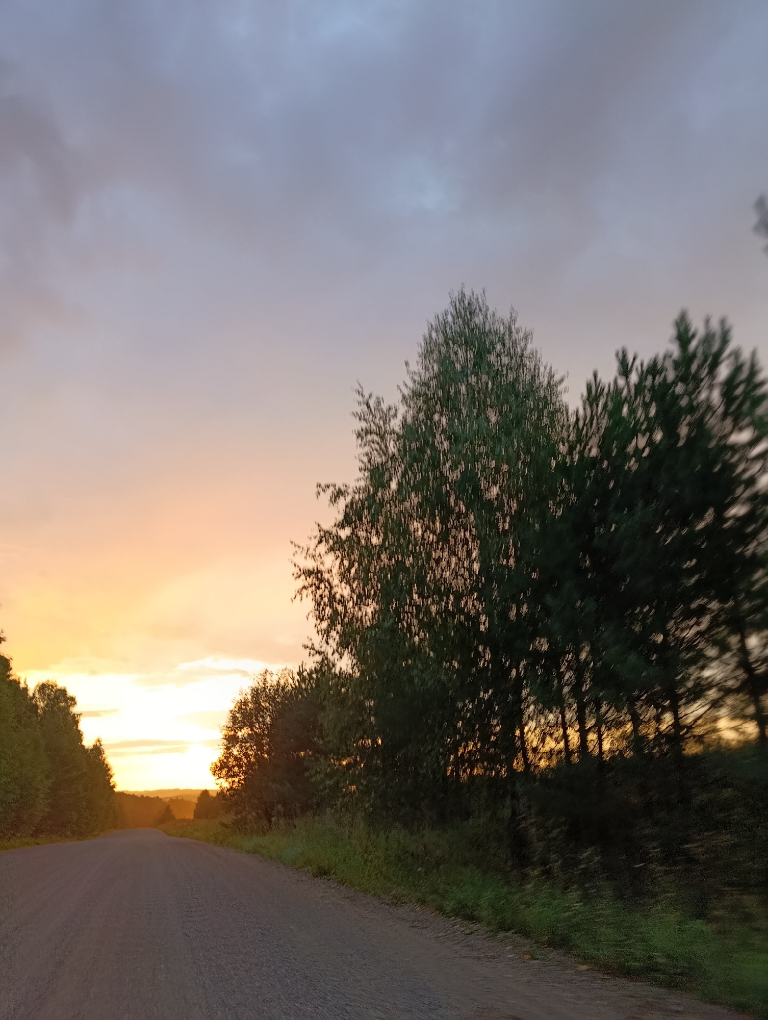 The image depicts a gravel road leading into a sunset. The sky is a gradient of pale orange near the horizon, transitioning to a soft purple and then a muted grey with faint clouds at the top. On either side of the road, there are dense trees. The trees on the right appear to be a mix of pine and deciduous trees, with some showing a noticeable blur due to motion. The trees on the left are mostly deciduous and also show some motion blur. In the distance, the road curves into a valley with rolling hills visible against the bright sunset. The overall impression is of a rural landscape at dusk, possibly taken from a moving vehicle. The specific location within Nekrasovo, Russia, cannot be determined from the image alone.