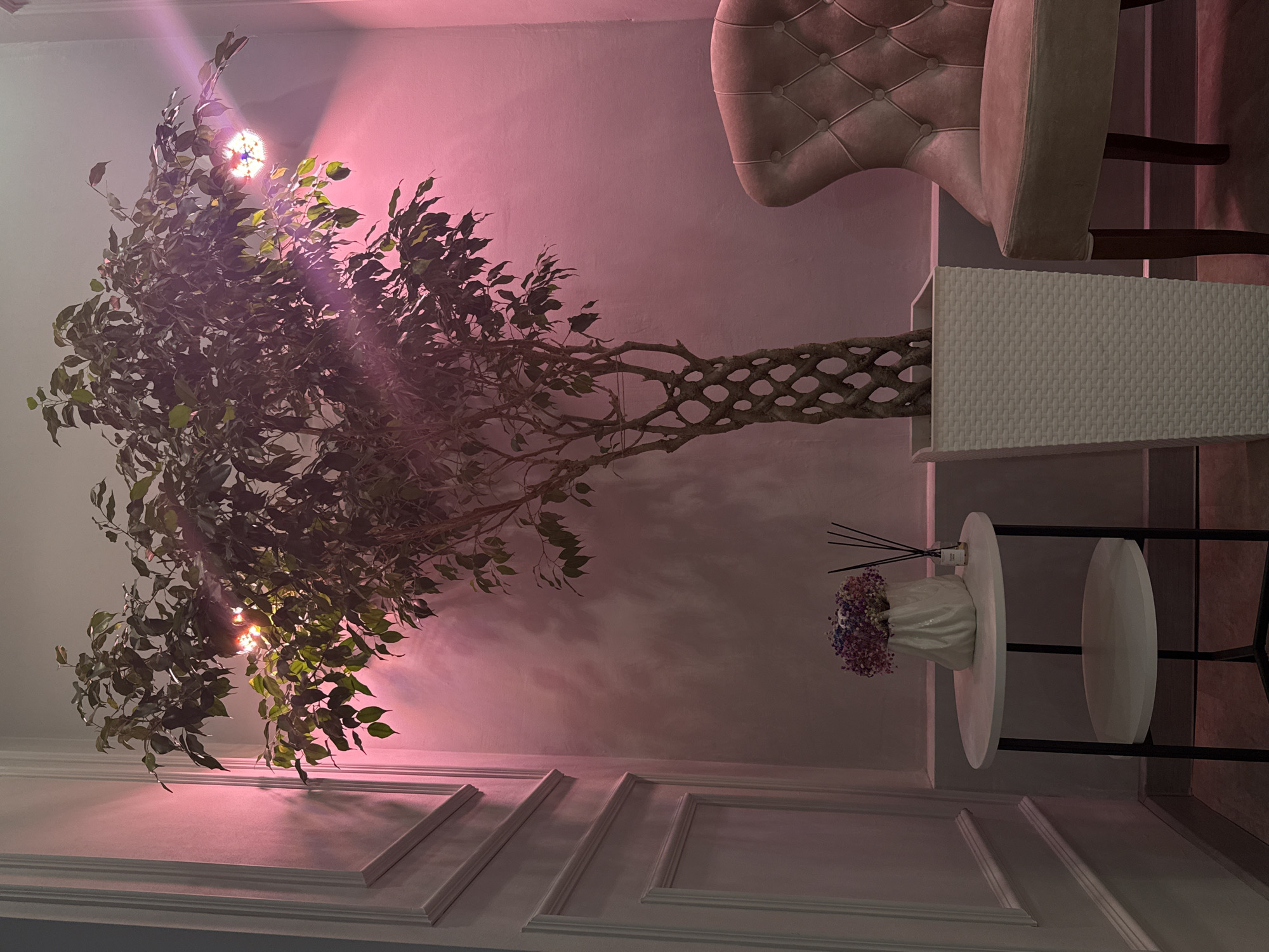 A scene inside a room with a pink wall features a faux ficus tree illuminated by spotlights, casting light patterns on the wall and leaves. A light pink tufted armchair is visible on the right, partially cut off by the frame. Adjacent to the armchair is a white side table with two round tiers, the top tier holding a white vase filled with dried flowers and reed diffusers. The bottom of the wall has decorative white molding. The image was taken indoors in Rostov-on-Don, Russia.