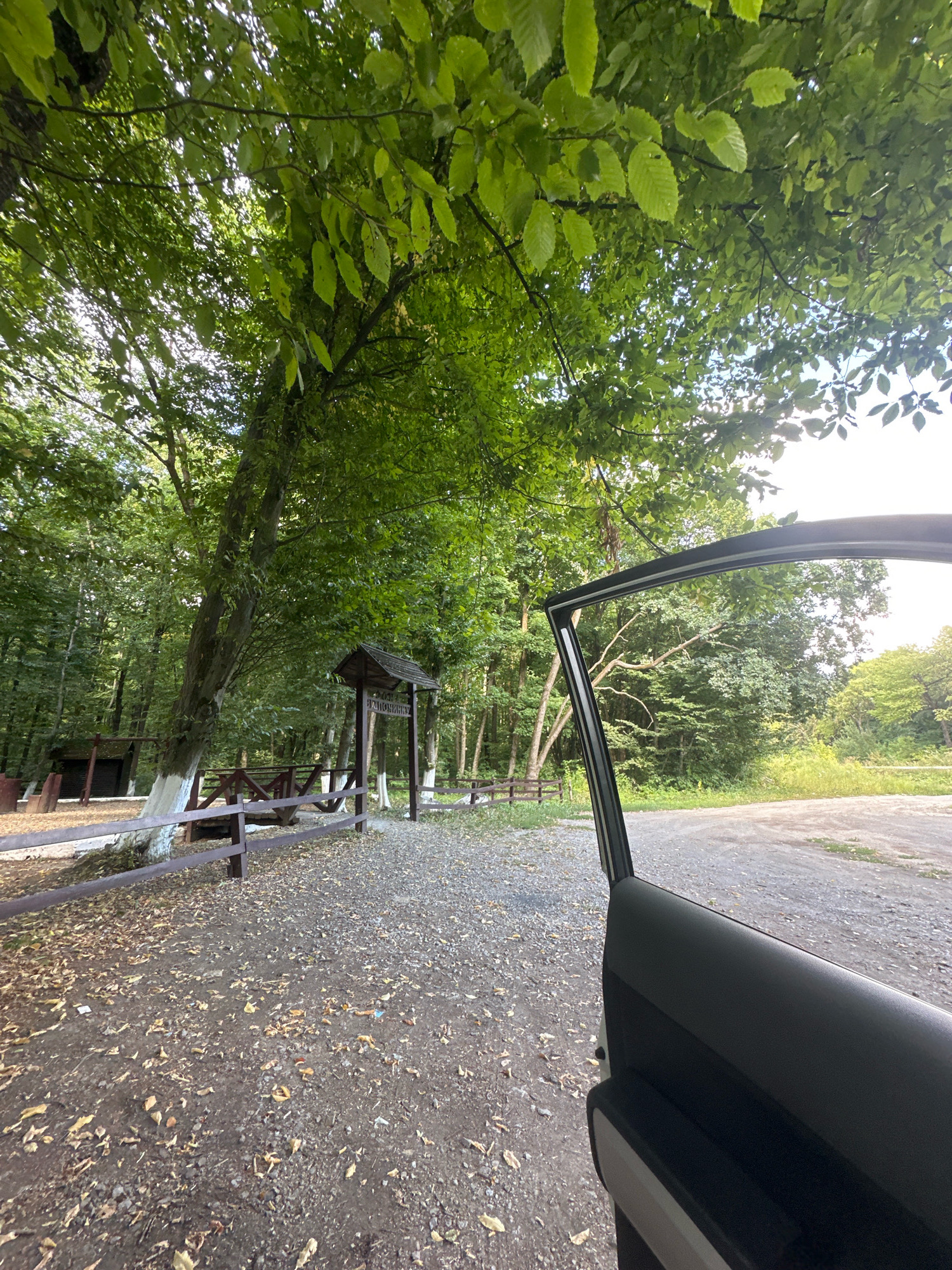 The image depicts an outdoor scene, likely in a park or natural area, with a clear view of trees, foliage, and a gravel path. A car door is partially visible in the foreground on the right side of the image. In the background, there is a wooden signpost with text, a wooden fence, and what appears to be a small wooden structure. The environment is lush with green leaves on the trees, suggesting a warm season. The ground is covered with gravel and fallen leaves. The lighting indicates it is daytime, with sunlight filtering through the leaves.