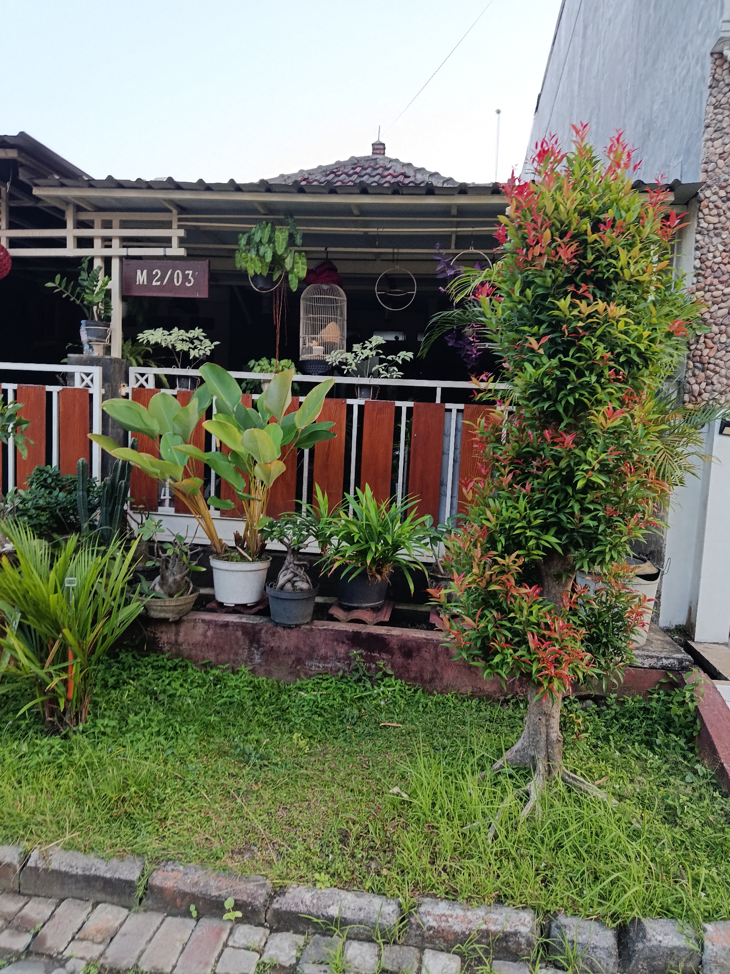 The image depicts a small garden area in front of a building, likely a residence, in Keboananom, Indonesia. A wooden fence with vertical slats and horizontal decorative elements separates the garden from a porch or veranda. The porch is supported by white pillars and has a dark roof. A sign reading "M 2/03" is mounted on the porch. Various potted plants are arranged along the fence line and on the ground. These include leafy green plants, a cactus, and a tree with red and green foliage in the foreground. A birdcage hangs from the porch roof. The ground is covered with grass and some paving stones are visible in the lower part of the image. The overall scene suggests a well-maintained outdoor space with a focus on decorative plants and a natural aesthetic.
