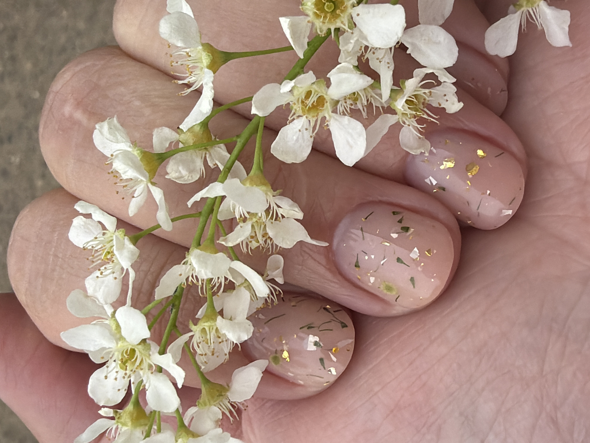 A close-up shot depicts a person's hand holding a sprig of flowering tree branches with small white flowers. The hand's nails are painted with a light pink polish, adorned with embedded gold and green flakes. The skin tone of the hand is fair, with visible wrinkles and lines. The flowering sprig is in focus, and the background shows skin texture.
The city of Chaikovsky, Russia is not evident from the image, and any claims about its location would be speculative.