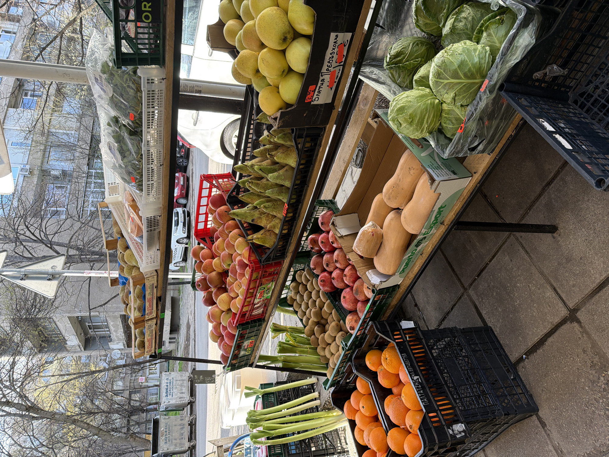 The image shows a fruit and vegetable stand on a sidewalk in Sofia, Bulgaria. The produce is arranged in black plastic crates stacked on tiered shelves. The selection includes apples, pears, pomegranates, kiwis, leeks, oranges, butternut squash, cabbages, and herbs. A sign with "ЗЛАТНА 1" and "Възходна" suggests local apple varieties. In the background are buildings, bare trees, a street with cars, and signs, typical of a city scene. A sign with "ΠΑΛΤΑΤΖΗΣ ΗΛ. 6974867768" provides a possible business or contact detail. The sidewalk is paved with grey stones.