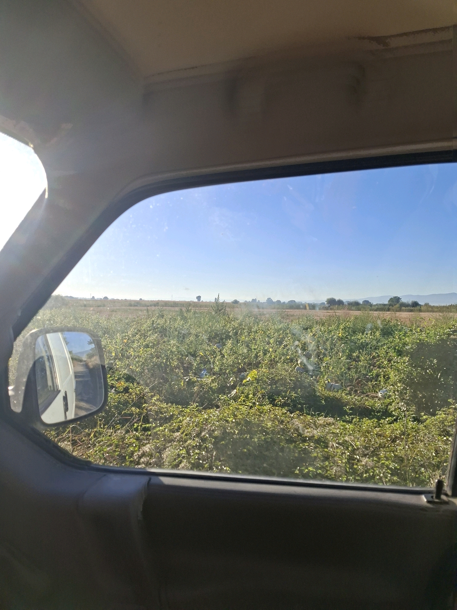 The image is taken from inside a vehicle, looking out the passenger side window at a rural landscape under a clear blue sky. The foreground shows the interior of the vehicle, including the door panel and part of the dashboard. A side mirror, reflecting the road behind and the white side of the vehicle, is visible on the left.
The middle ground is dominated by a dense field of green vegetation, possibly crops or wild growth. Scattered within the vegetation are white and light-colored objects, appearing to be debris or litter. In the distance, a flatter, drier field or plain stretches across the horizon. A line of trees and hills can be seen further back, with a hazy mountain range in the far distance. The sun is high and bright, casting strong light on the scene, and creating a lens flare in the upper left corner of the image.