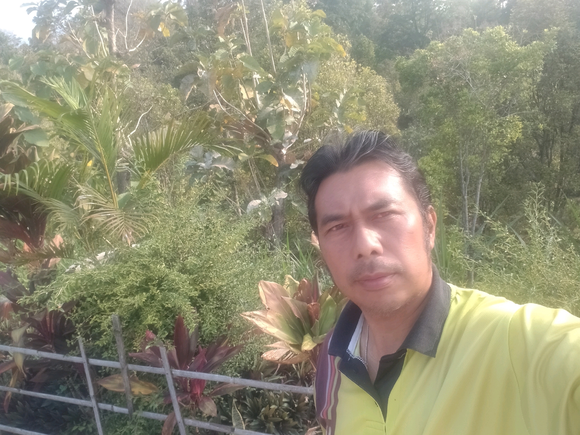 A man in a yellow polo shirt with a black collar is taking a selfie in an outdoor setting with lush green foliage and trees in the background. He has dark hair and a mustache. In the foreground, there is a weathered wooden fence. The overall environment suggests a natural or semi-rural area, potentially a park or garden. The lighting indicates it is daytime, likely with bright sunlight. The image quality is somewhat grainy, typical of older digital cameras or mobile phones. The man appears to be of Asian descent. There are no other people visible in the frame. The scene is static, with no discernible actions occurring beyond the act of taking the selfie.