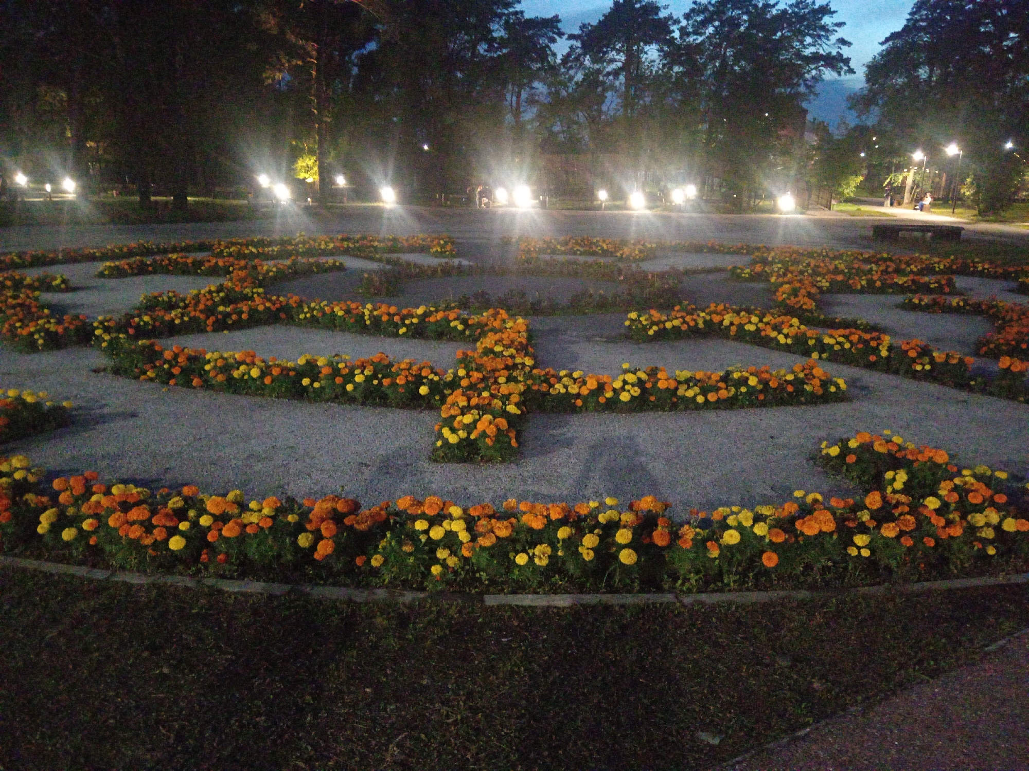 The image depicts a large flowerbed designed in a circular, labyrinthine pattern, filled with vibrant orange and yellow marigolds. The flowerbed is situated in a park-like setting at dusk or night. Several lampposts are visible in the background, casting a bright, diffused light that illuminates the scene and creates lens flares. Trees line the background, their dark silhouettes contrasting with the lit areas. In the far background, two figures can be seen walking, and a bench is visible to the right. The ground surrounding the flowerbed appears to be paved or covered with gravel. This scene is located in a public space in the city of Belogorsk, Russia.