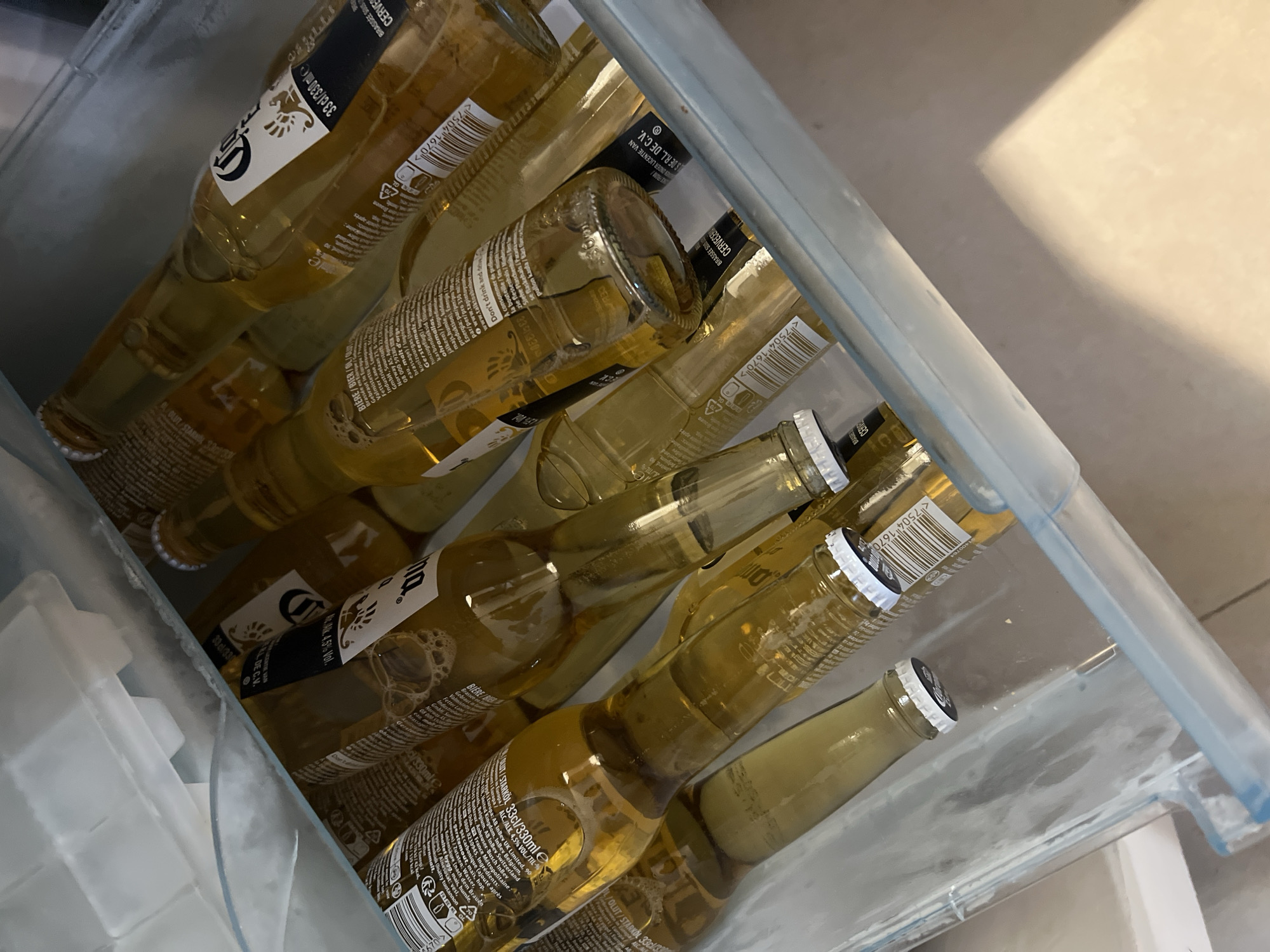 This media file shows a close-up view of a clear plastic container filled with multiple bottles of Corona beer. The bottles are predominantly light yellow in color, with distinctive white and black labels. The labels display the Corona logo, along with text in various languages, including "CERVEZA," "BRASSEE SOUS LICENCE," and "33cl/330ml." Some bottles have visible bubbles, suggesting they are cold. There are also some translucent, ice-like cubes visible in the container, likely to keep the beer chilled. The lighting suggests an indoor setting, possibly a refrigerator or cooler. The perspective is from above, looking down into the container. The overall scene is one of refreshment and leisure. The visible text indicates the brand and volume of the beer.