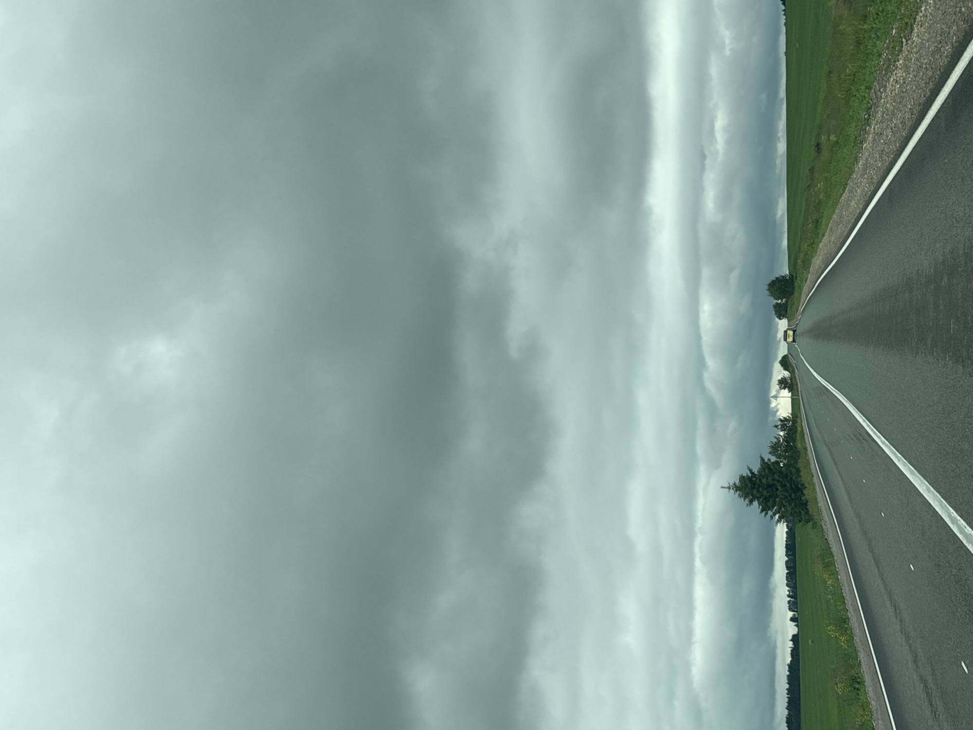 The image displays a two-lane asphalt road under a heavily overcast sky, situated in Niva, Russia. The road features white dashed lane markings and solid white shoulder lines, receding into the distant horizon with a slight curve. A light-colored sedan is observed in the far distance, traveling away from the camera. Adjoining the road on both sides are narrow gravel verges, followed by extensive, vibrant green fields, presumably agricultural. A distinct, dark green coniferous tree stands prominently on the left side of the road, preceding a distant treeline. The sky is uniformly covered with dense, grey clouds, indicating overcast weather. No human figures are present.