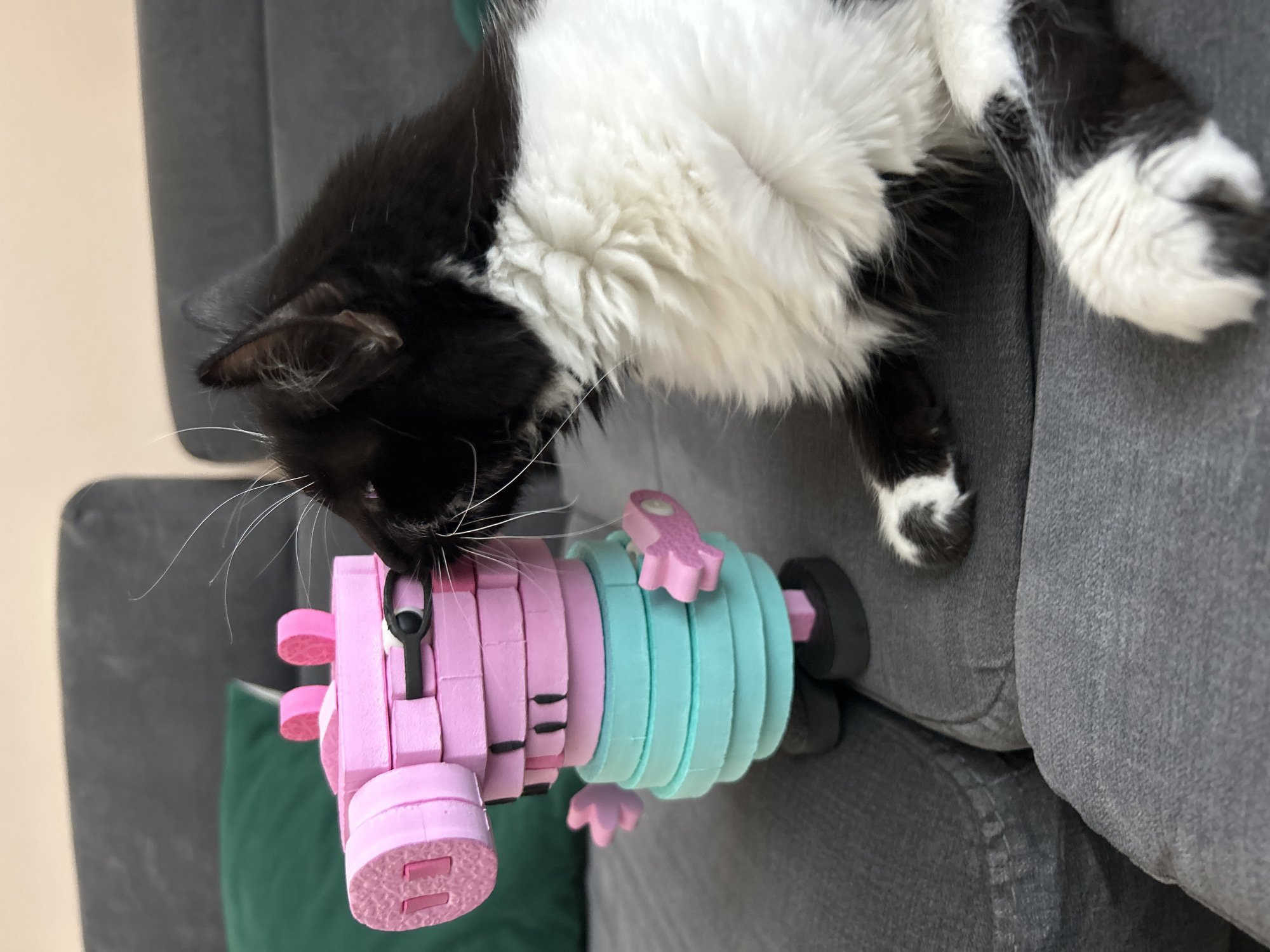 A black and white cat is lying on a grey sofa, sniffing a pink and light blue Peppa Pig toy figure. The sofa is positioned in front of a light beige wall. A green pillow is partially visible near the sofa. The location in Plovdiv, Bulgaria, cannot be determined from the image.