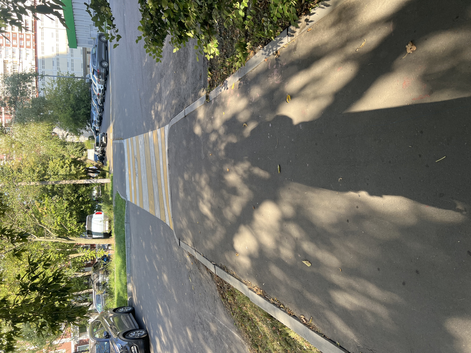 The image depicts a crosswalk in a residential area of Moscow, Russia, on a sunny day. The crosswalk is marked with yellow and white stripes. To the left of the crosswalk, a dark gray car is parked on the asphalt. Further back, a white van is visible among trees. To the right of the crosswalk, a dense bush with green leaves grows along the sidewalk. Beyond the bush, a line of parked cars is visible, extending into the distance, with a multi-story building in the background. The ground is paved with asphalt, and the area is shaded by trees, casting dappled shadows on the pavement. The overall scene is typical of a city courtyard, with residential buildings, parked cars, and pedestrian walkways.