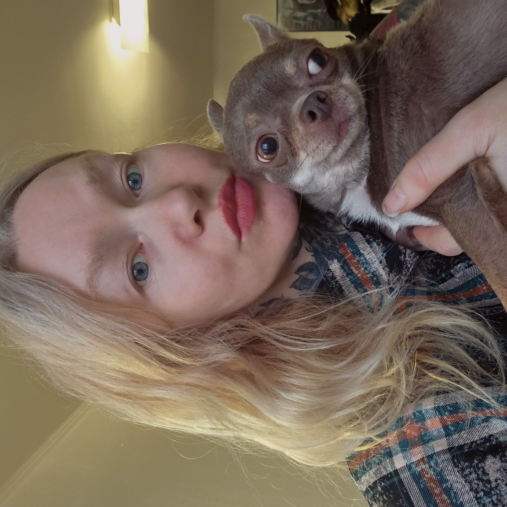 A woman with blond hair and blue eyes holds a brown and white chihuahua. The woman is wearing a plaid shirt and has a tattoo on her neck. The background is blurred, but it appears to be a room with a light fixture. The location cannot be determined as Saint Petersburg, Russia.