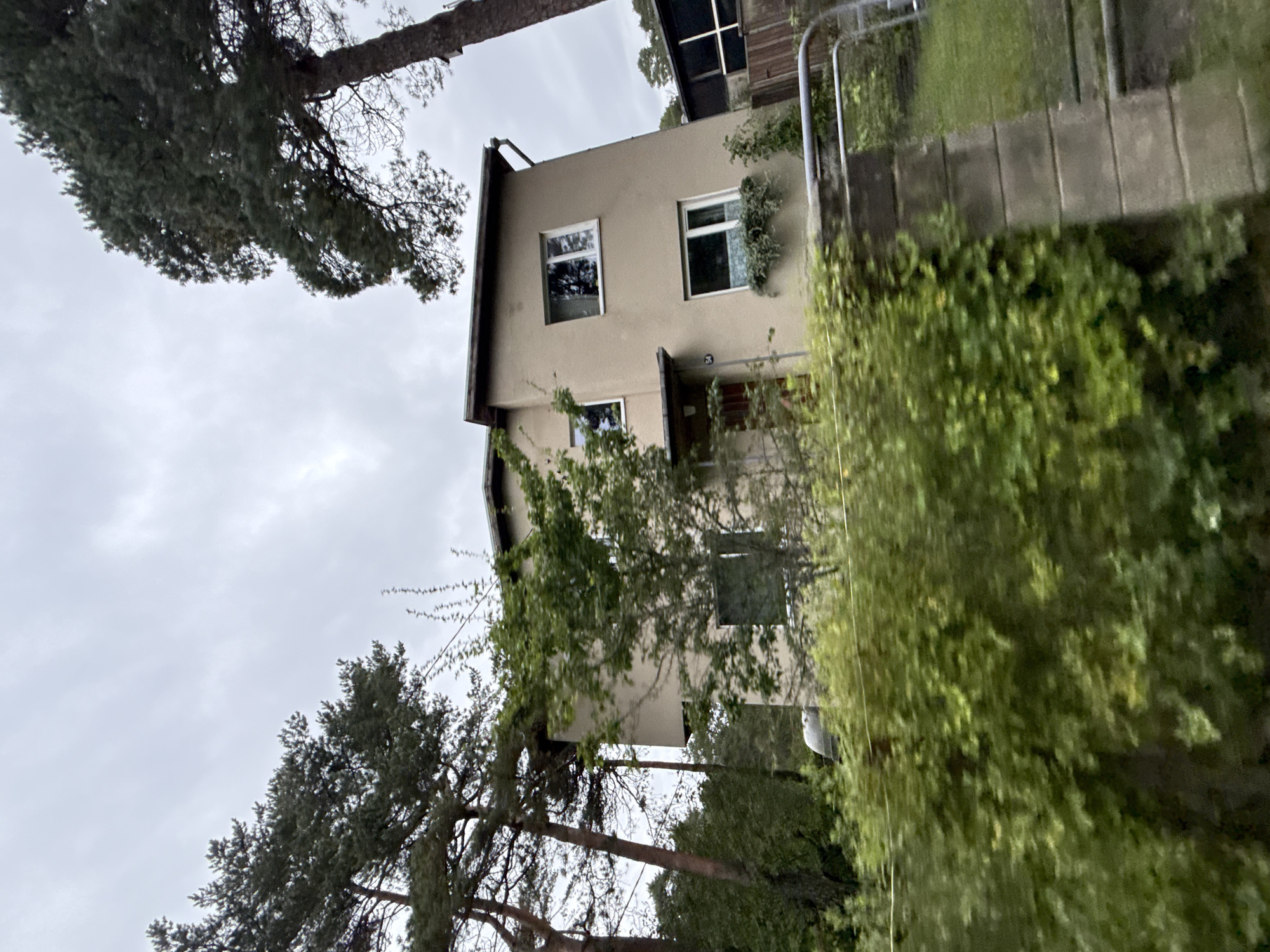The image shows a two-story house with a beige facade and a dark roof. It is surrounded by tall pine trees and dense green foliage, suggesting a suburban or semi-rural setting. The sky is overcast and gray, indicating a cloudy day. A fence made of concrete blocks and metal bars is visible in the foreground, separating the property from a grassy area. The house has several windows, some with white frames and others with dark frames. One window on the lower floor has a planter box with greenery. A small covered entrance is located near the front door, which is red. A number '54' is visible next to the entrance. The image is taken from a slightly elevated, moving perspective, as evidenced by the blurriness of the foreground vegetation and the slight tilt of the house. There are no people visible in the image. The architecture of the house does not provide immediate clues to a specific location within Tallinn, Estonia, but the surrounding vegetation is consistent with the forested areas found on the outskirts of the city.