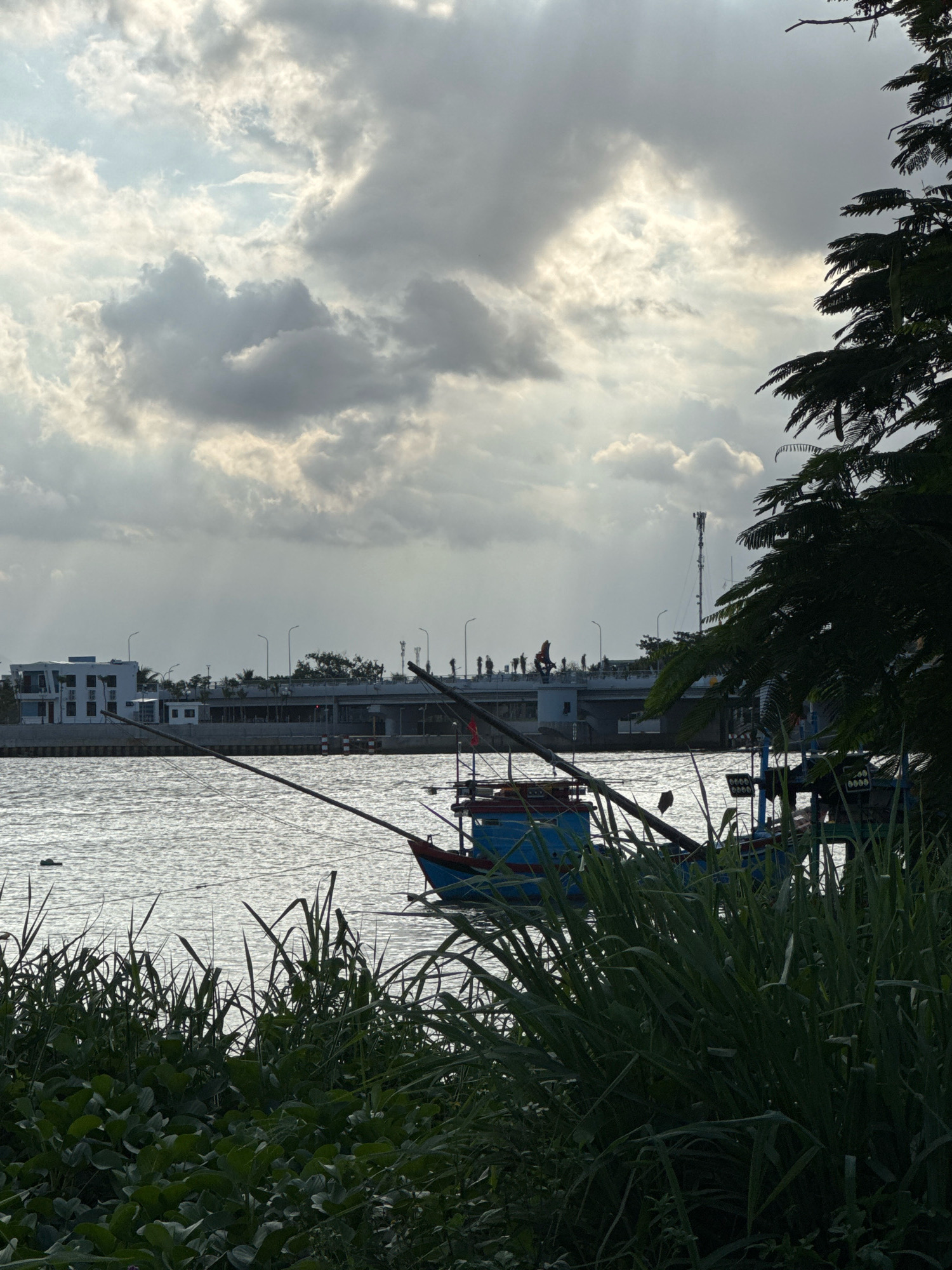 The image depicts a scene on the Xóm Cồn canal in Nha Trang, Vietnam, characterized by a cloudy sky with sunbeams breaking through. In the foreground, lush green foliage, including broad leaves and tall grass, lines the bank of the canal. The water reflects the sky's dramatic cloud formations. Several fishing boats are visible in the canal, one prominent blue and red vessel being closer to the foreground. These boats appear to be docked or anchored.
Across the canal, a modern urban landscape is present, featuring a multi-story white building with clean lines and several windows, indicative of contemporary architecture. A bridge spans the canal in the background, with visible streetlights and a telecommunications tower. Silhouetted figures of people are discernible on top of the bridge, suggesting activity on or near it. The overall atmosphere is one of a coastal city scene, with a blend of natural elements and urban infrastructure.