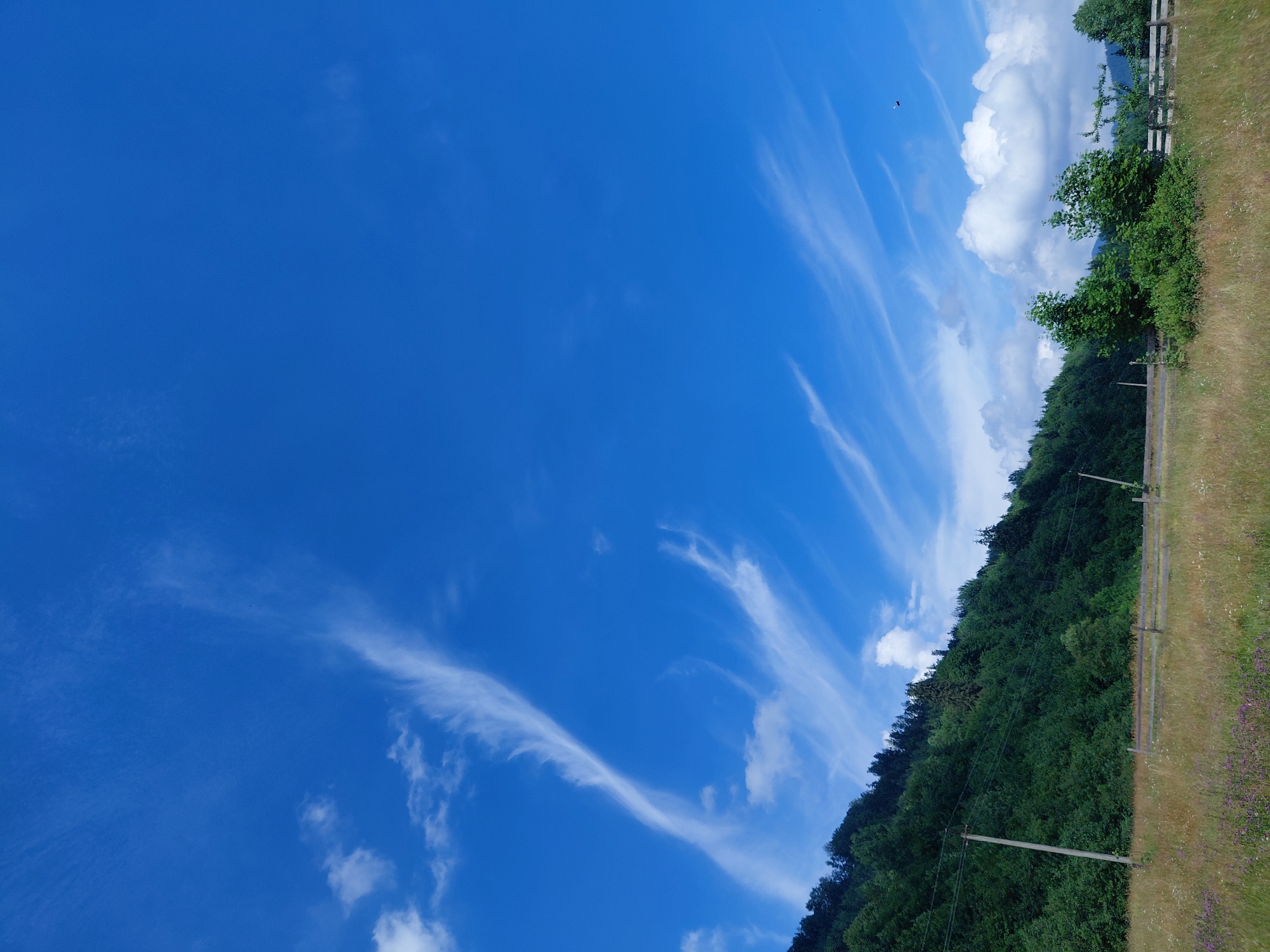This is a full-frame, vertical shot of a landscape in the city of Chernyk, Ukraine. The image captures a bright, sunny day with a clear blue sky populated by wispy white cirrus clouds. A dense, green forest covers a hillside that slopes down from the upper left to the center of the frame. In the foreground, a field of dry, golden-brown grass is dotted with small purple flowers. A rustic wooden fence runs horizontally across the middle ground. Two utility poles with wires are visible on the left side of the frame, positioned within the grassy field and against the backdrop of the forest. The overall scene depicts a rural, natural environment under a vast sky.