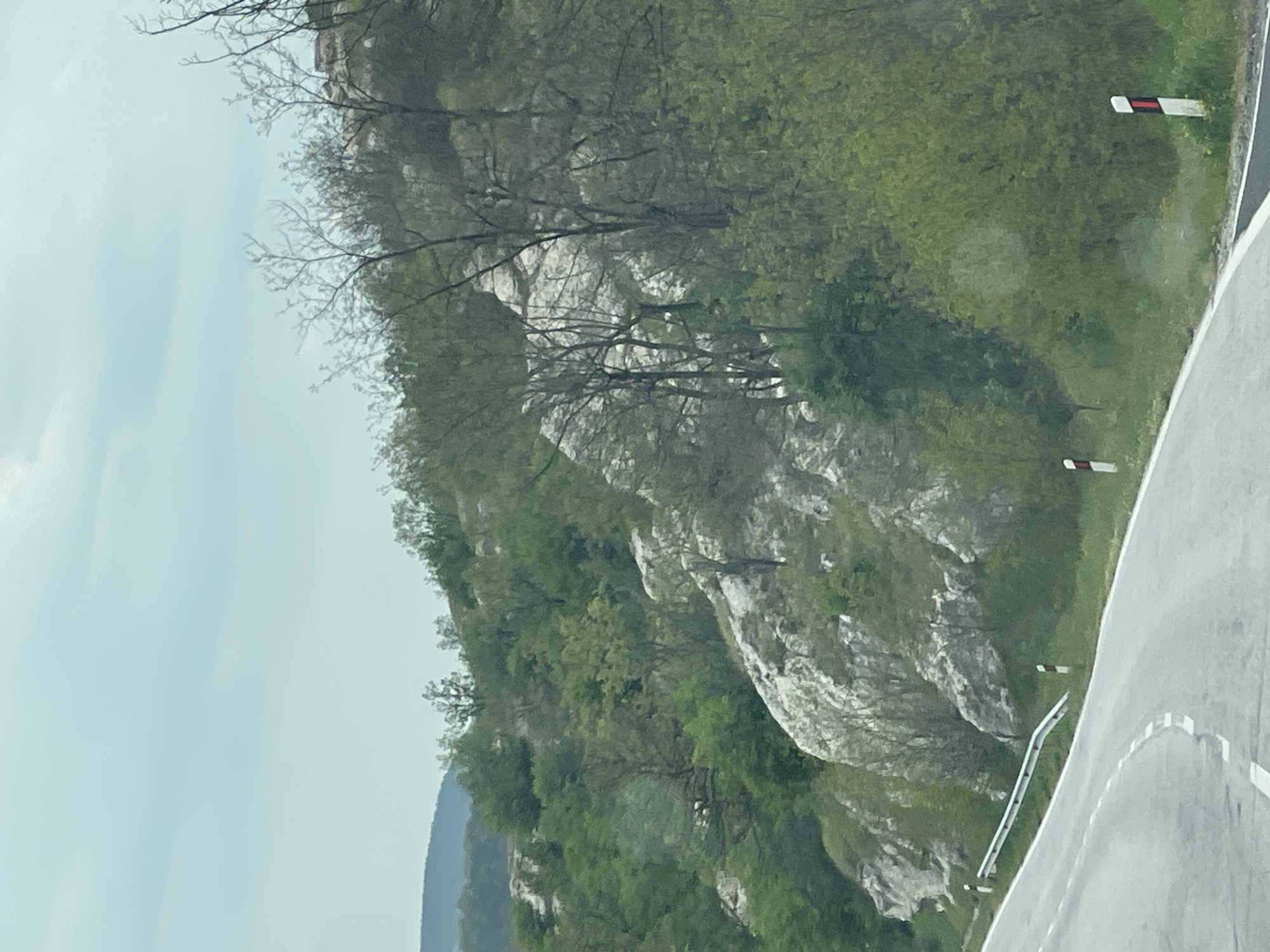 The image captures a winding asphalt road cutting through a hilly or mountainous landscape. The road, which appears to be two-laned, features a solid white line on its outer edge and dashed white lines in the center, indicating a curve to the left. A metal guardrail runs along the right side of the road, accompanied by small white and red reflective marker posts spaced intermittently along the roadside.
To the left of the road, a steep hillside rises, densely covered with varied green foliage and numerous trees. Prominent grey and white rocky outcrops are visible throughout the hillside, interspersed among the greenery, suggesting a rugged geological formation. Some trees, particularly in the upper and middle sections of the hill, have visible bare branches or sparse early spring leaves.
The sky in the upper portion of the image is a uniform light blue, suggesting an overcast or hazy daytime condition. In the far distance, faint outlines of additional hills or mountains can be discerned on the left horizon. The scene is devoid of people or active events. There is no visible text in the image. The setting is a natural, rural environment, contextualized as Madrets, Bulgaria.