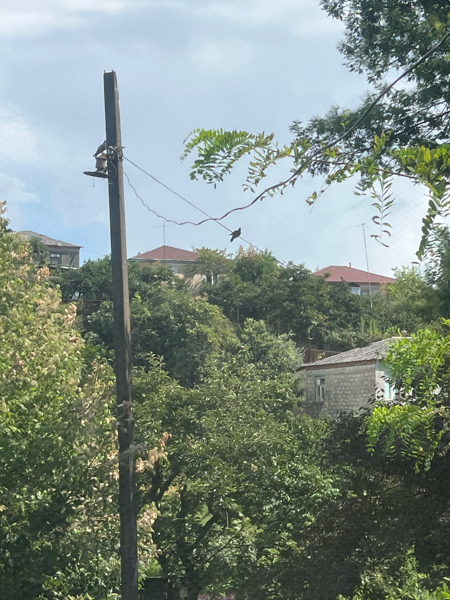 This image depicts a view of Sokhumi, Abkhazia, featuring a rural or suburban hillside setting. In the foreground, a weathered wooden utility pole stands prominently, with two birds perched on its crossarm. A thin wire stretches from the pole diagonally upwards and to the right. The background reveals several houses with tiled roofs nestled amongst dense green foliage. The sky is overcast with scattered clouds. The overall scene is one of a tranquil, natural environment with signs of human habitation.