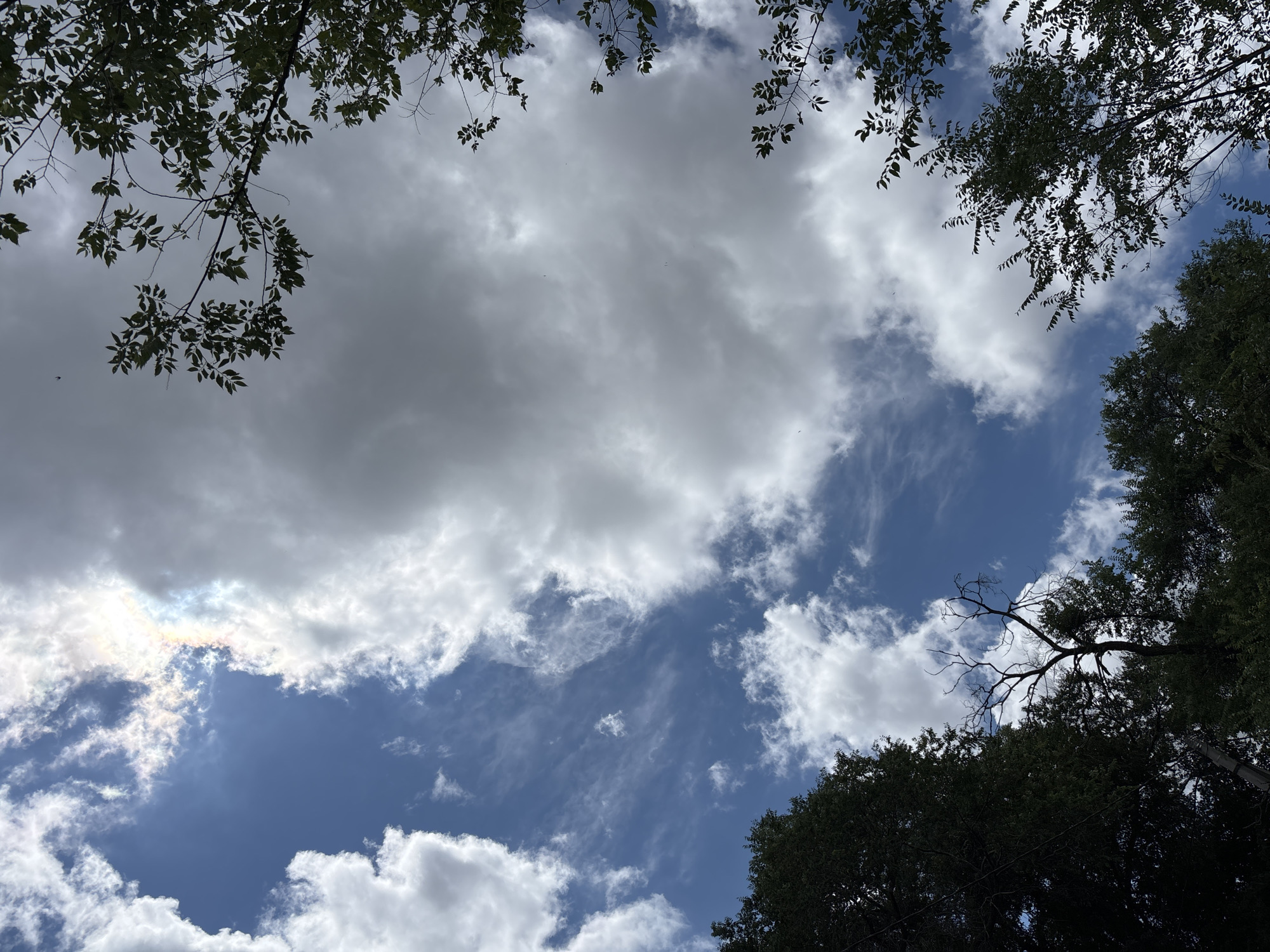 The image is a low-angle shot of a cloudy sky with trees framing the edges. The sky is a mix of deep blue and varying shades of gray and white clouds, with some cirrus clouds visible. A rainbow effect is present in the upper left quadrant, indicating sunlight refracting through ice crystals in the clouds. The trees are lush and green, with their branches reaching towards the sky. The overall impression is one of a natural scene, likely a park or wooded area within a city. There are no people or specific identifiable landmarks to suggest a precise location within Blagoveshchensk, Russia, or any other city.