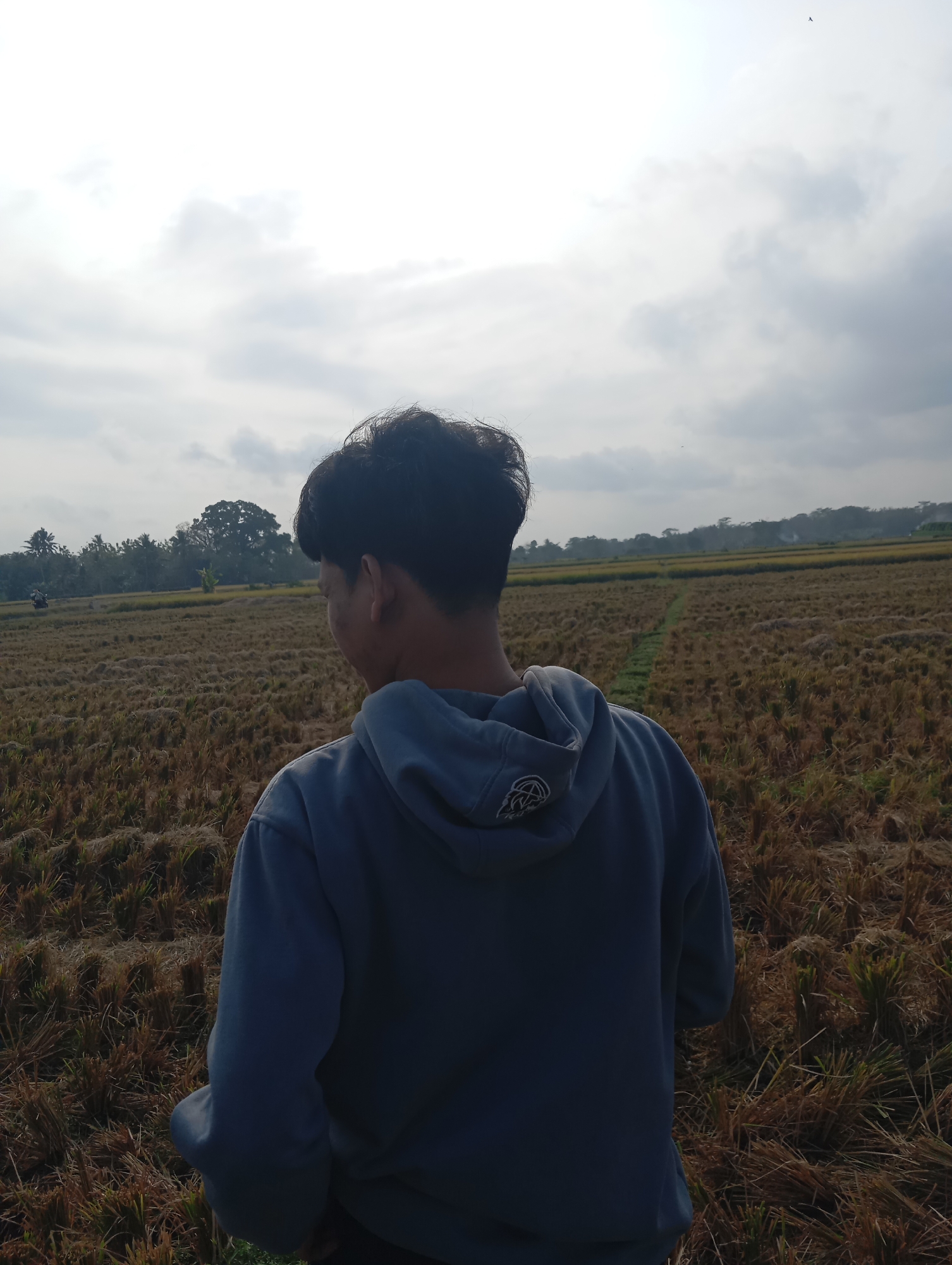 A young man with dark hair stands in a harvested rice field, looking to his left. He wears a dark blue hooded sweatshirt. The field is covered in dry rice stalks and features a narrow path running through it. In the background, there are trees and a hazy sky with scattered clouds. A motorcycle is partially visible on the left side of the frame. The scene appears to be set in a rural area, possibly on the outskirts of Sokaraja, Indonesia, given the typical landscape of rice paddies in the region.