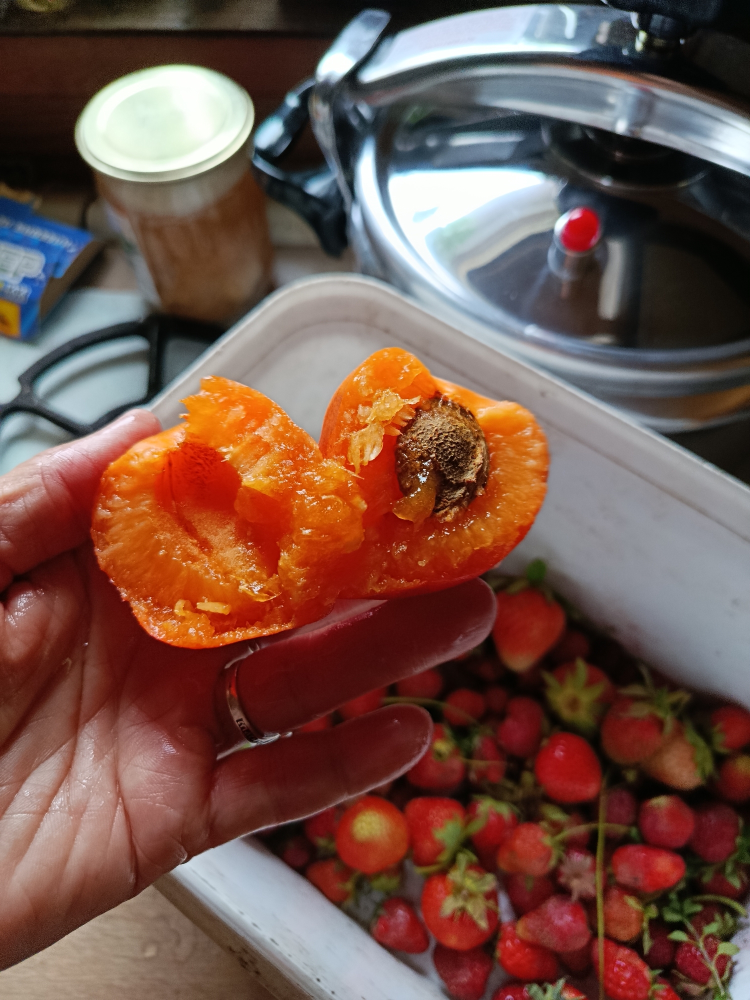 An overhead shot shows a hand holding an apricot cut in half, revealing its pit. In the background, a white container is filled with strawberries. To the left, a jar with a metallic lid is visible, and a pair of black-rimmed glasses rests on a table. The environment appears to be domestic, possibly a kitchen.