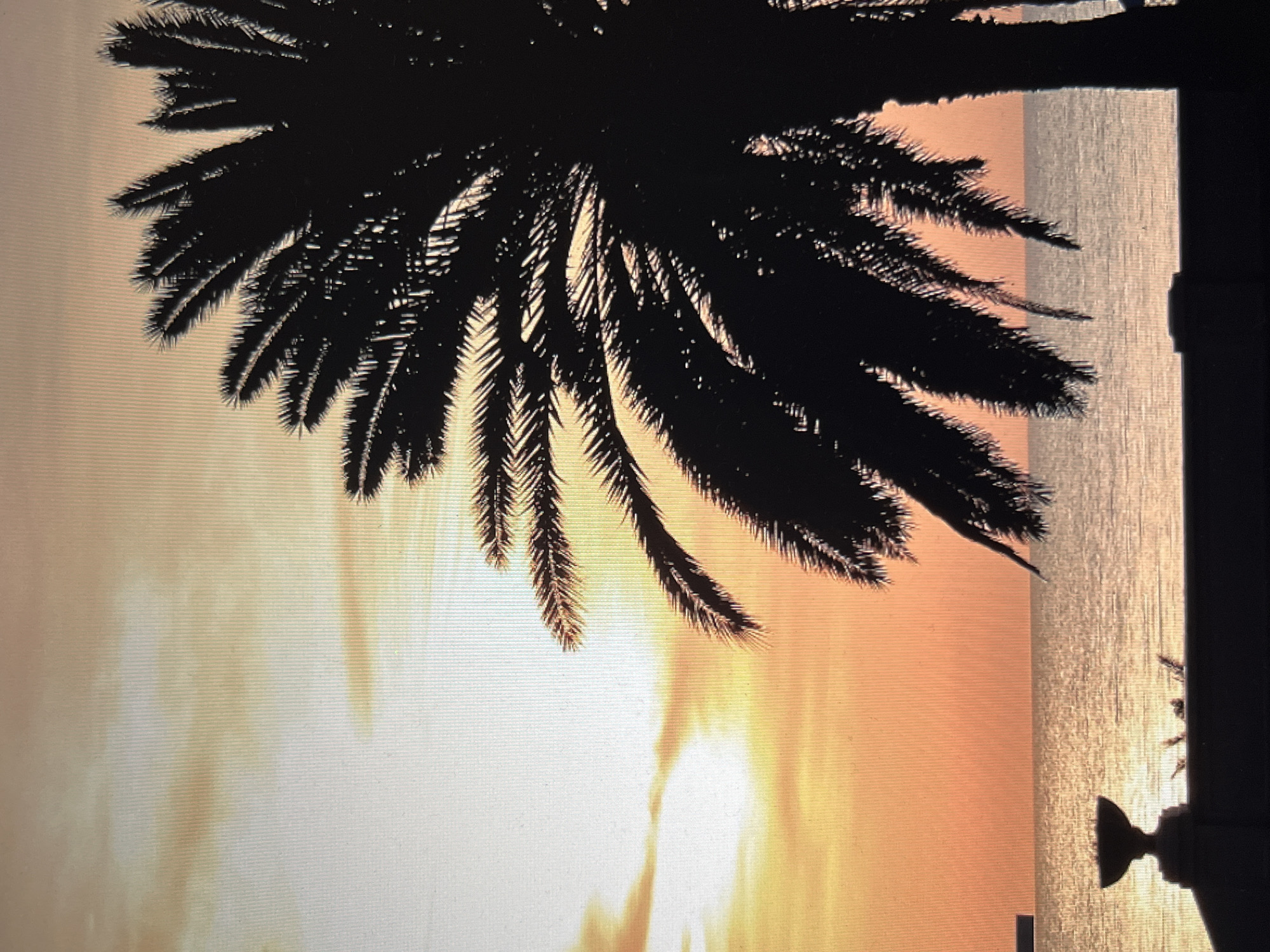 A silhouetted palm tree dominates the right side of the image against a sunset sky. The sky transitions from a pale yellow at the top to a soft orange near the horizon, with some wispy clouds. The calm ocean stretches across the middle of the frame, reflecting the warm hues of the sky. In the foreground, a dark silhouette of a railing or wall is visible, with a decorative urn on the left and what appears to be a distant ship or structure on the left horizon. The scene evokes a tropical or seaside setting at dusk. The location is identified as the city of Khimki, Russia, although the image itself does not contain any specific visual cues to confirm this location.