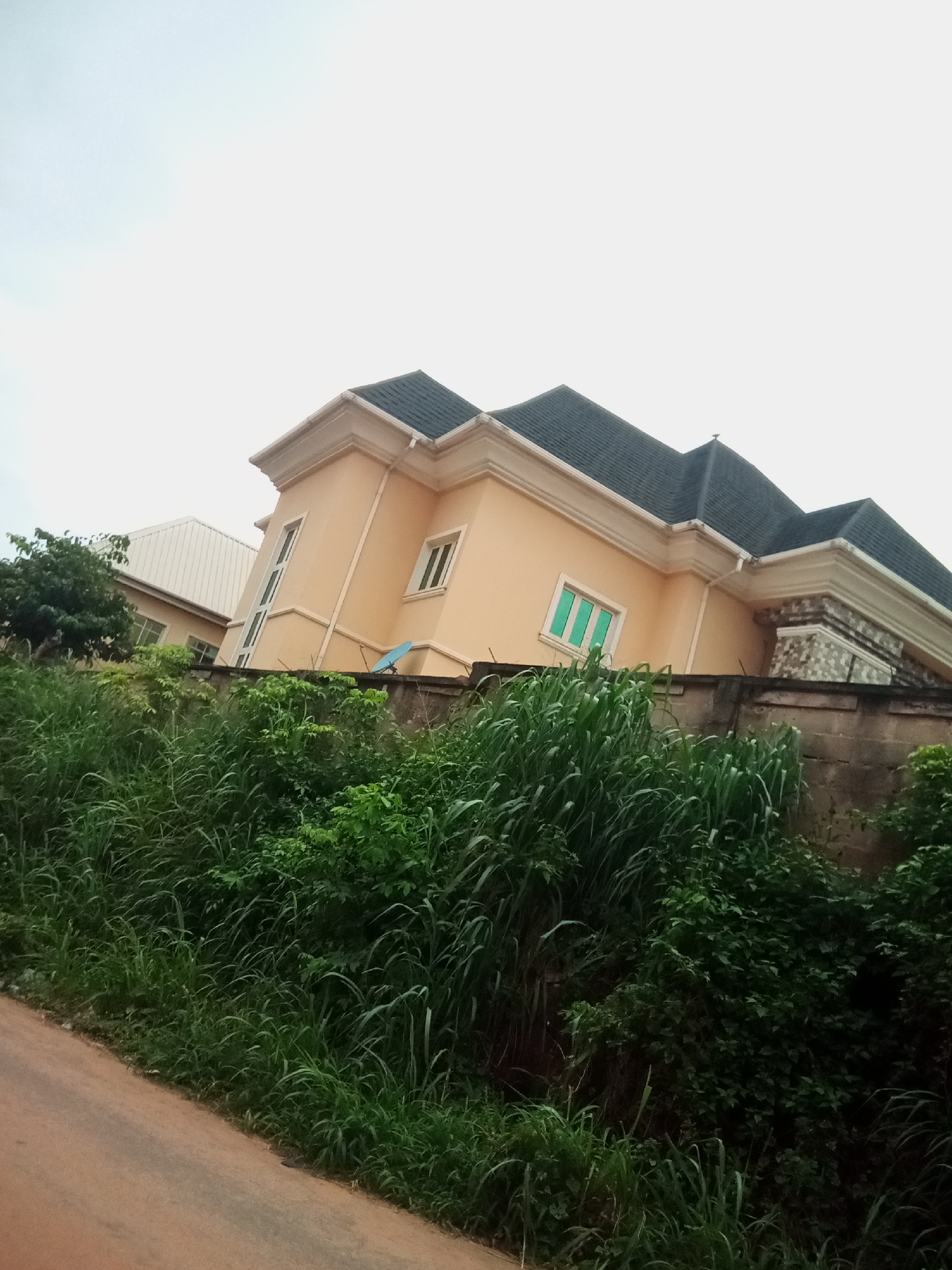The image shows a two-story building with a peach-colored facade and a dark gray roof in Oko Town, Nigeria. The building features several tall, narrow windows, one with green-tinted glass. A concrete wall topped with a stone-patterned section runs in front of the building. Lush green vegetation, including tall grass and trees, obscures the lower portion of the scene. A paved road is visible in the foreground. The sky is overcast and white.
