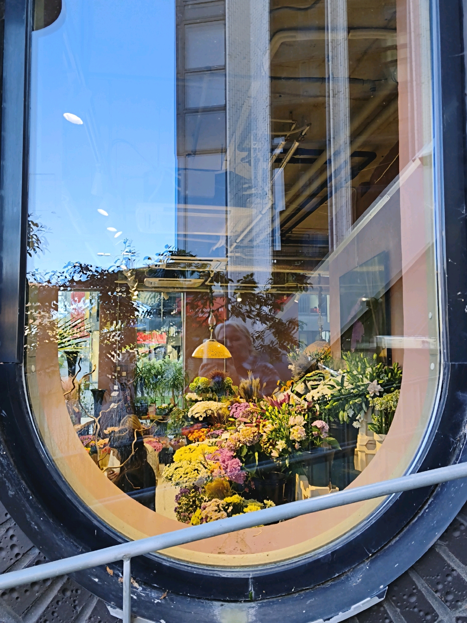 The image displays a reflection in a large, oval-shaped window. The window appears to be part of a storefront in Tallinn, Estonia, likely a flower shop given the abundance of colorful floral arrangements visible within the reflection. Outside, the sky is a bright blue with a few white oval shapes that could be reflections of lights. The window frame is black and oval, with a lighter colored border inside.
Inside the reflection, a diverse array of flowers in various shades of pink, yellow, purple, and white are arranged in buckets and displays. A bright yellow lamp hangs from the ceiling, illuminating some of the flowers. A person with blonde hair and a dark jacket is partially visible in the reflection, holding what appears to be a small object. The background of the reflection shows the interior of the building, including exposed pipes, wiring, and structural elements, suggesting an industrial or older building. The overall impression is one of a vibrant flower shop interior seen through a distinctive window.