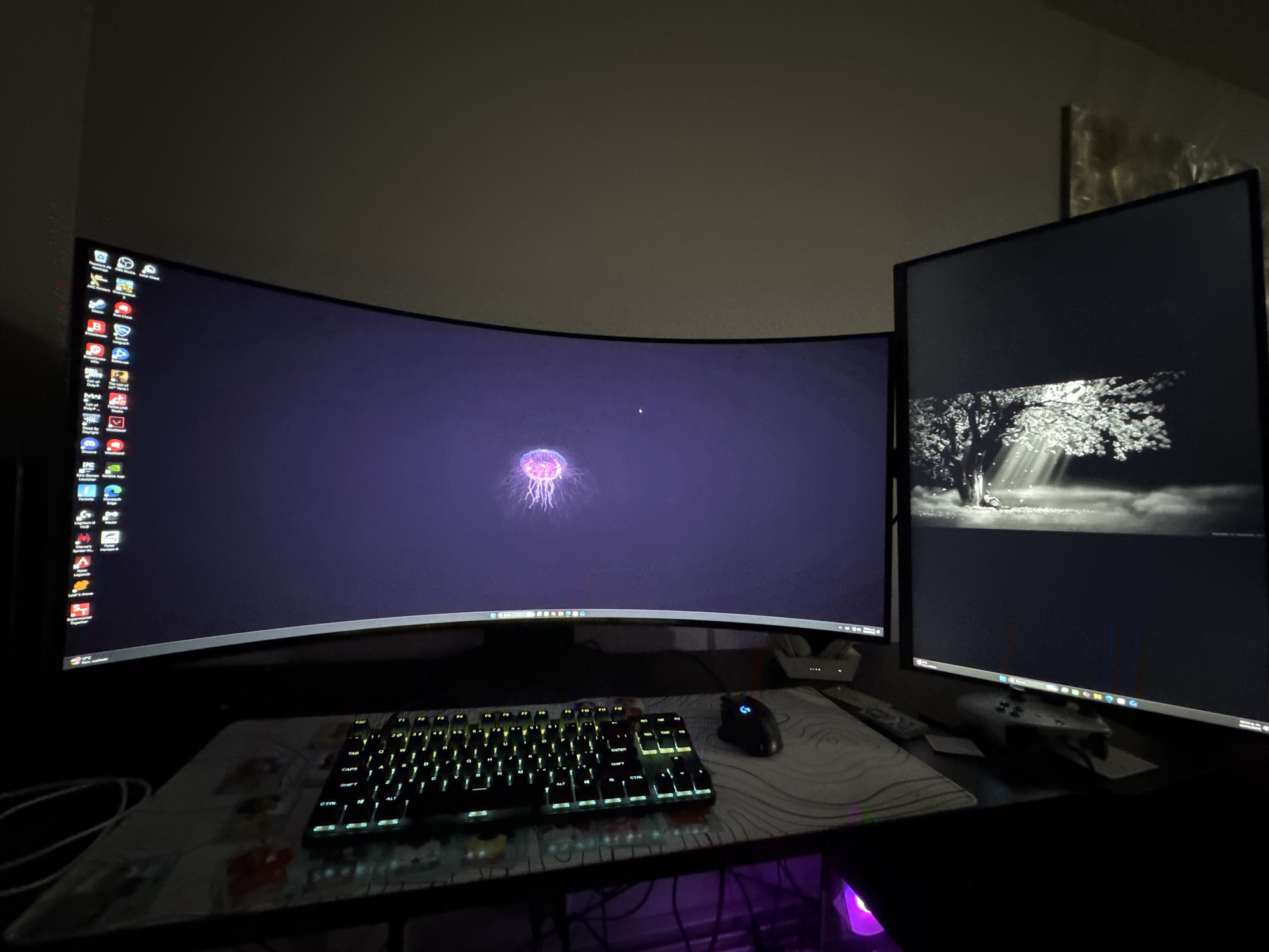 The image depicts a dimly lit computer workstation with a large curved monitor displaying a jellyfish wallpaper. To the right is a smaller, vertically oriented monitor showing a black and white image of trees. In the foreground is a gaming keyboard with illuminated keys, a mouse, a mousepad with a design, and a controller. The environment suggests an indoor setting, likely a home office or gaming room. There is no visible indication of the location being Glendale Heights, United States of America.