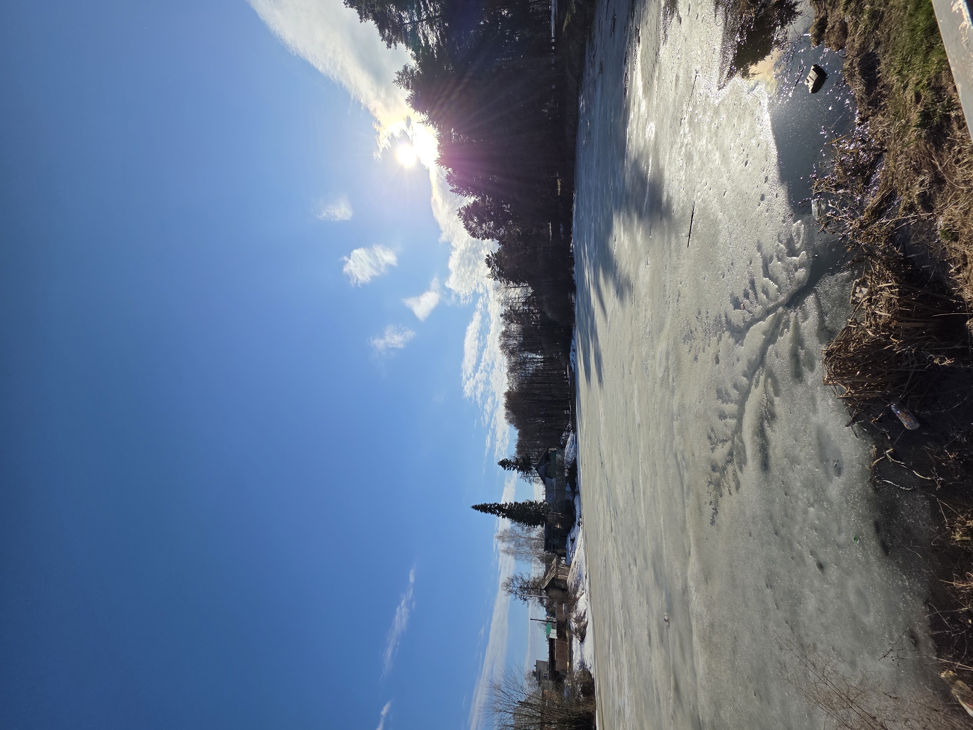 The image shows a frozen body of water, likely a pond or a small lake, under a bright blue sky with scattered clouds. The sun is visible, partially obscured by trees lining the shore. The shoreline is covered in dry vegetation and some spots of open water can be seen at the edge. The presence of houses and buildings in the distance suggests the location is within a developed area. Given the context of Chaikovsky, Russia, it may depict a park area with a pond.