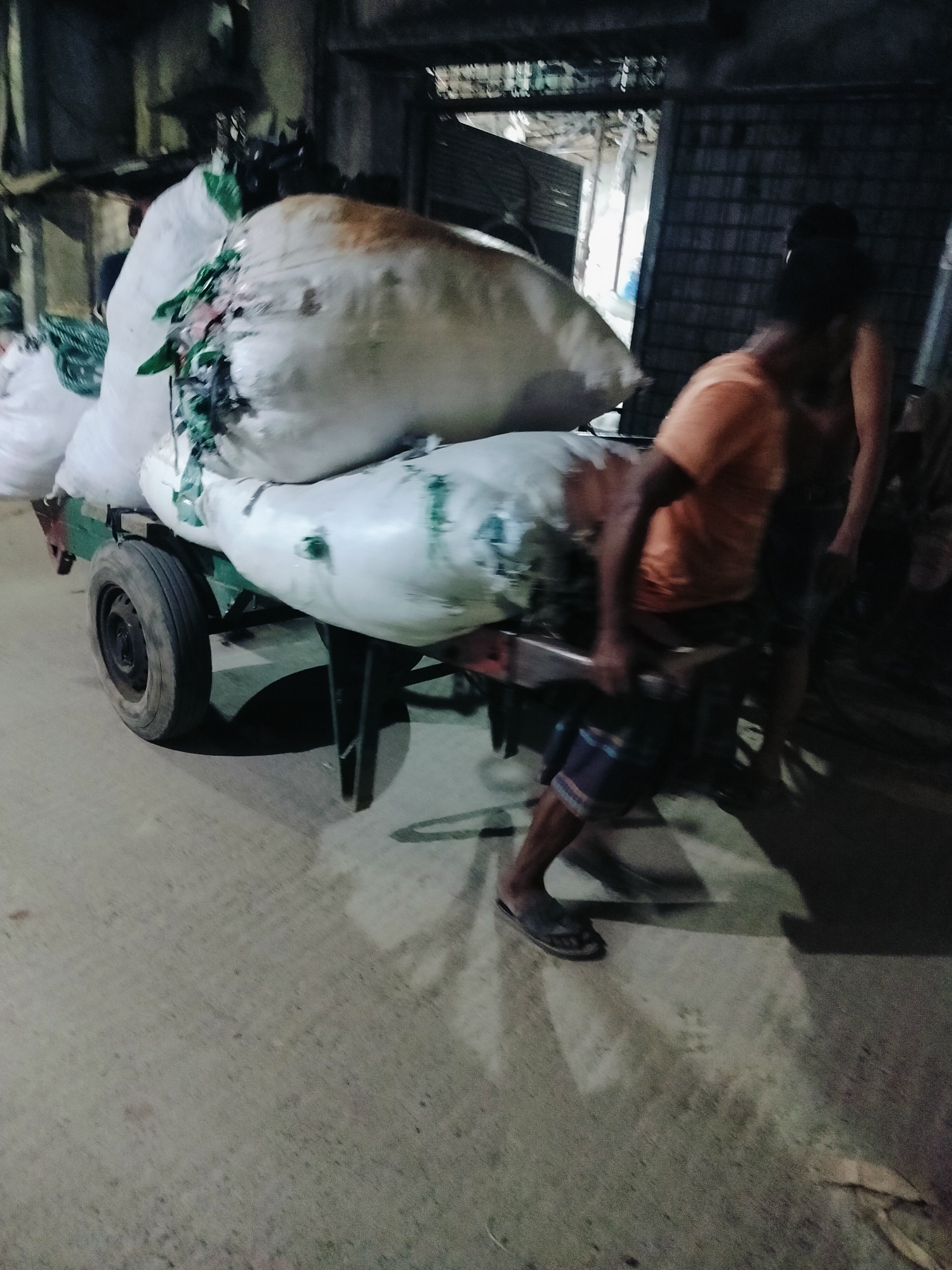 Memory
