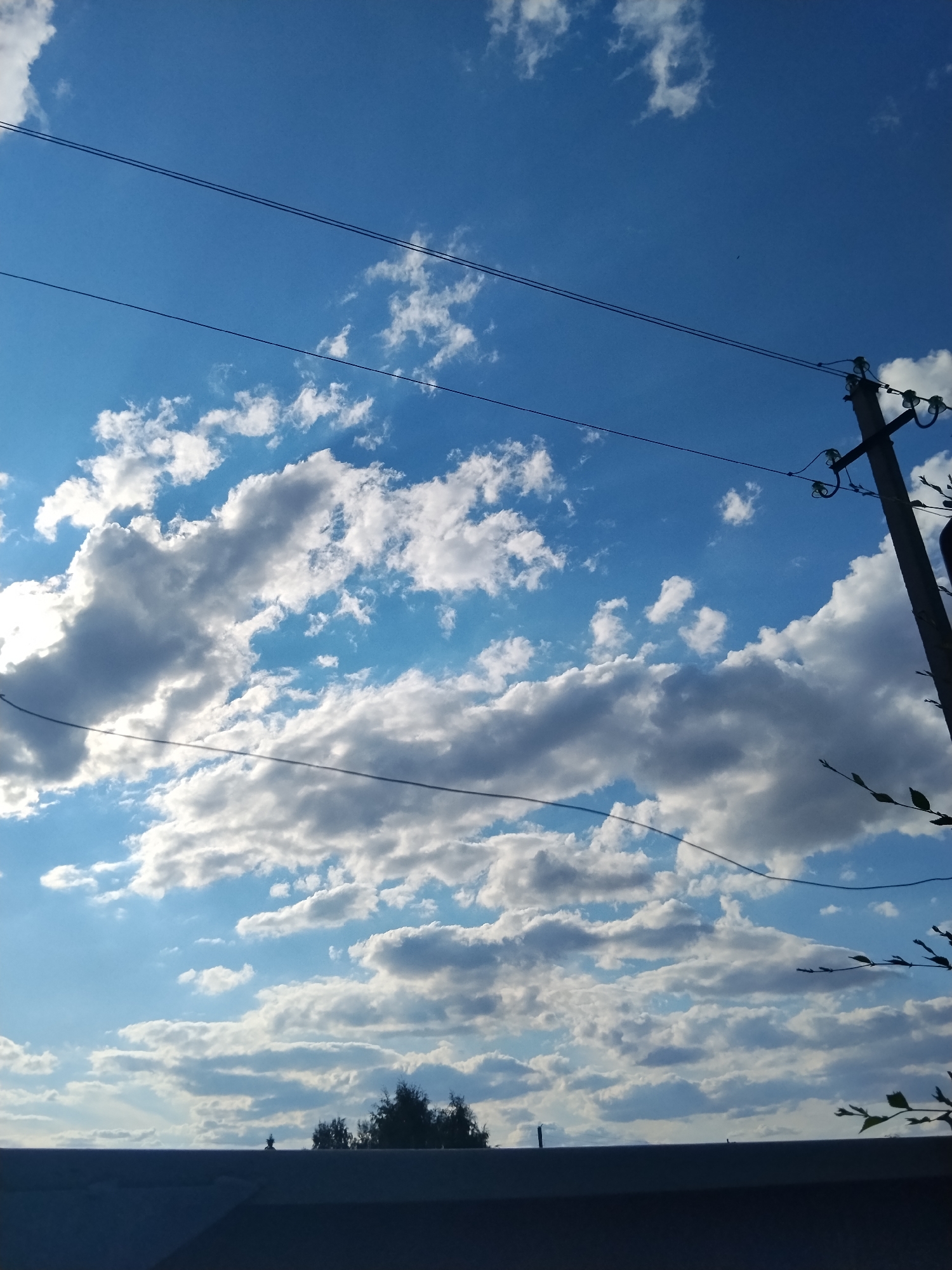 The image shows a bright blue sky with scattered white clouds, suggesting a daytime scene. Overhead, two thin black wires are visible, stretched diagonally across the frame. To the right, a utility pole with insulators stands tall, also supporting the wires. In the lower portion of the image, a dark, horizontal structure, possibly a rooftop or fence, occupies the foreground, with the silhouetted tops of trees visible beyond it. The overall impression is of an outdoor scene, likely in a suburban or rural setting, given the presence of utility lines and trees. The atmospheric conditions indicate clear weather with some cloud cover. The location is identified as Kokshetau, Kazakhstan, though no specific landmarks or environmental features are present to confirm this without prior knowledge. There are no people or animals visible in the image.