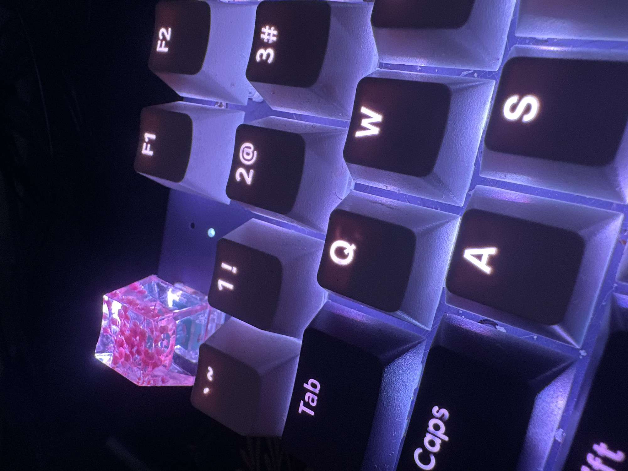 The image is a close-up shot of a keyboard with purple backlighting. Several keys are visible, including "F1", "F2", "~", "1!", "2@", "3#", "Tab", "Q", "W", "Caps", "A", and "S". A clear, hexagonal keycap filled with small pink flower petals is perched on top of the keyboard. The background is dark and appears to be indoors. There is no information in the image to suggest it is located in Krakow, Poland.
