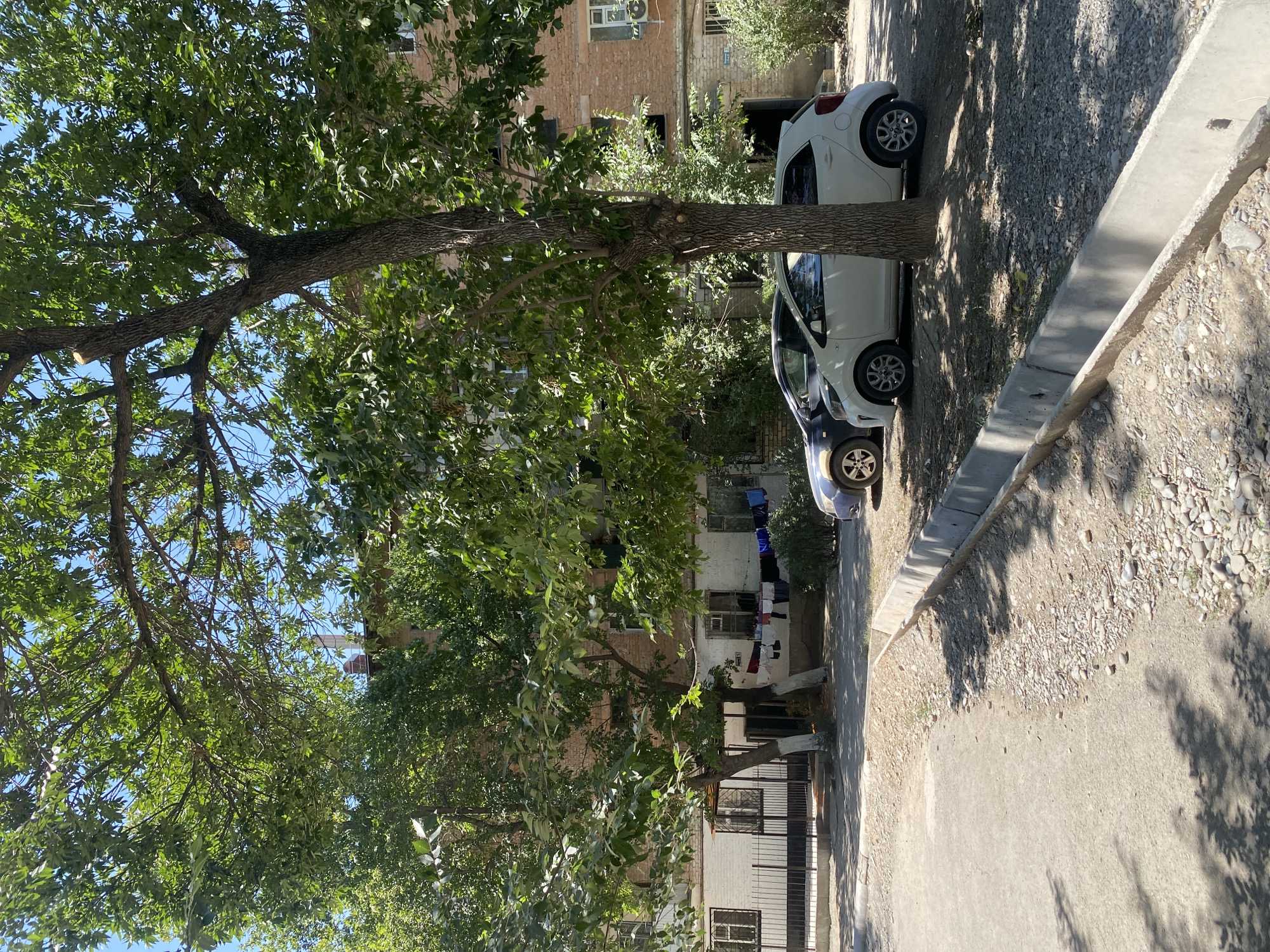 The image depicts an outdoor scene in a residential area. A brick apartment building with multiple windows is visible in the background. In front of the building, laundry is hanging on a clothesline, suggesting a residential setting where clothes are air-dried. Several trees with green foliage cast shadows on the ground, indicating a sunny day.
Two cars are parked near the building, a dark-colored car and a white hatchback. A concrete drainage channel runs along the side of a paved area in the foreground. The ground is a mixture of pavement, gravel, and small stones. The overall environment appears to be a typical urban or suburban residential complex. There are no people visible in the image.