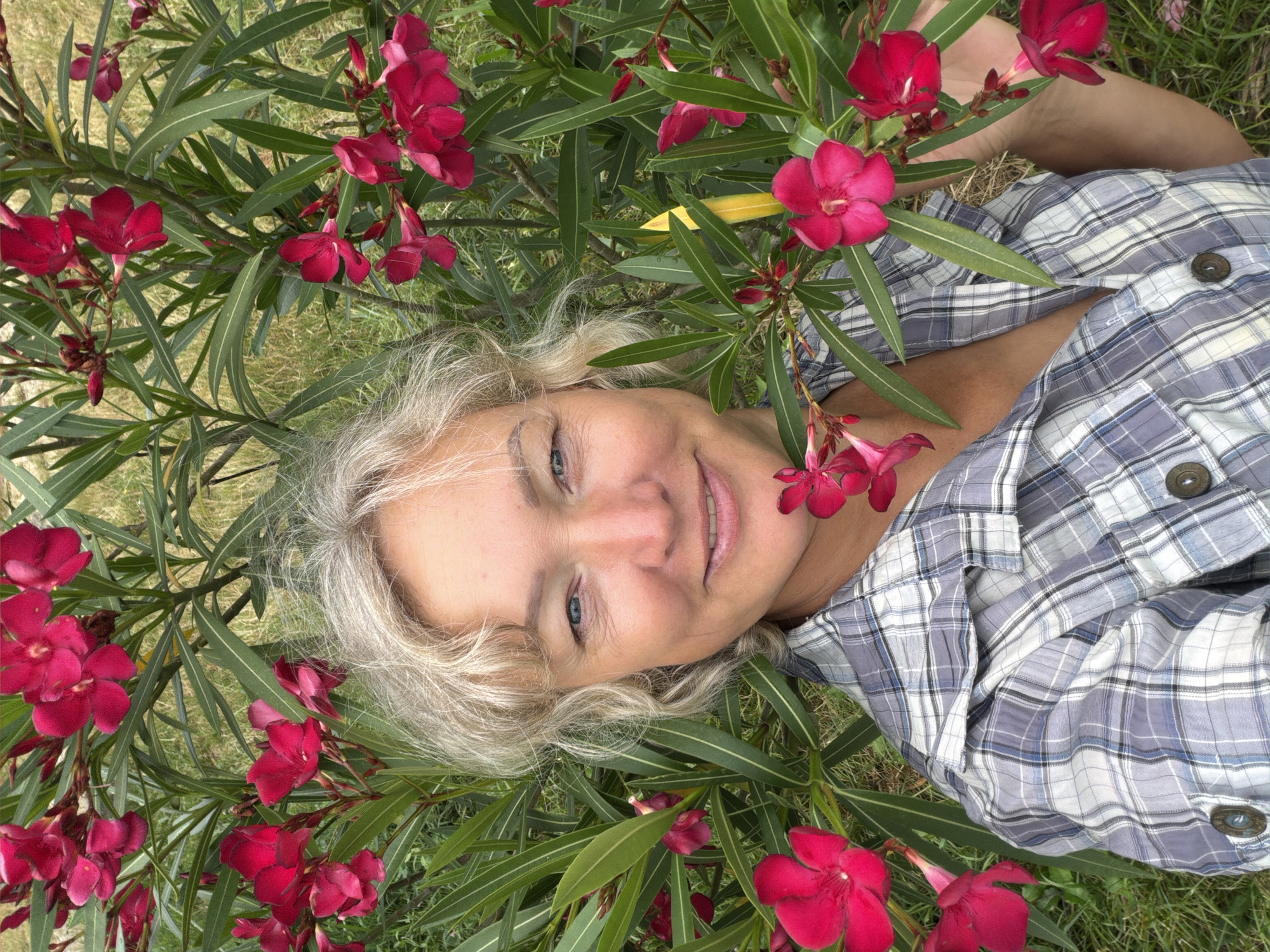 An outdoor, medium shot selfie features a woman with shoulder-length, wavy, blond hair and fair skin, positioned amidst a dense cluster of vibrant pink oleander flowers and green foliage. She is looking directly at the camera with a slight smile, her blue eyes clear. The woman is wearing a gray and white plaid shirt with the collar visible. The background consists of dry grass and some greenery, suggesting a natural, possibly rural or park-like setting. The image appears to have been taken in Shepsi, Russia, indicated by the context provided.