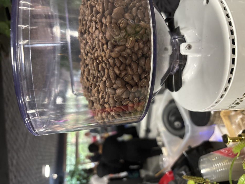 The image depicts a close-up, slightly elevated perspective of a white Nuova Simonelli coffee grinder (partial branding "NOVA SIM" visible on its lower body). Its transparent plastic hopper is filled with numerous medium-dark roasted coffee beans.
In the blurred background, an indoor commercial or event setting is present. Multiple indistinct individuals, primarily dressed in dark clothing, are visible, suggesting an active environment. Beyond them, a large window or opening reveals lush green foliage, indicating trees or plants outdoors. The interior features a dark ceiling with recessed lighting. On counters or tables, blurred objects include clear plastic cups, a white rectangular plastic container, a red utensil handle, and some decorative green plants. No specific actions or interactions are clearly discernible. The exact location within Mexico City, Mexico, cannot be determined from the visual information provided.