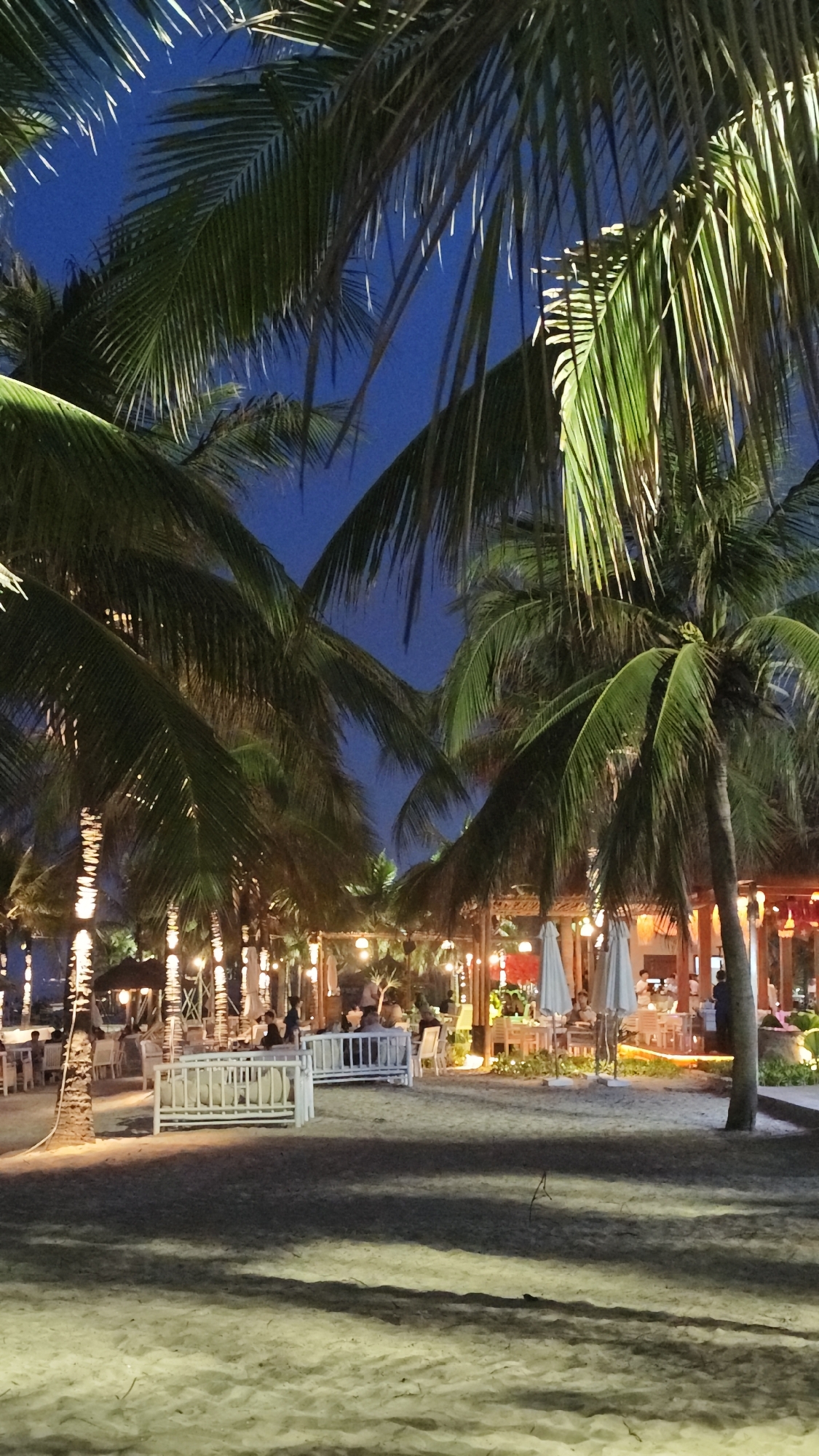 The image depicts a beach scene in Đà Nẵng, Vietnam, at dusk or night. Tall palm trees with illuminated trunks and fronds frame the scene. Under the trees, there are outdoor dining areas with tables and chairs, some occupied by people. The furniture is illuminated by string lights. A low, white picket fence is visible in the foreground. The ground is sandy. The sky is a deep blue, indicating twilight or night.