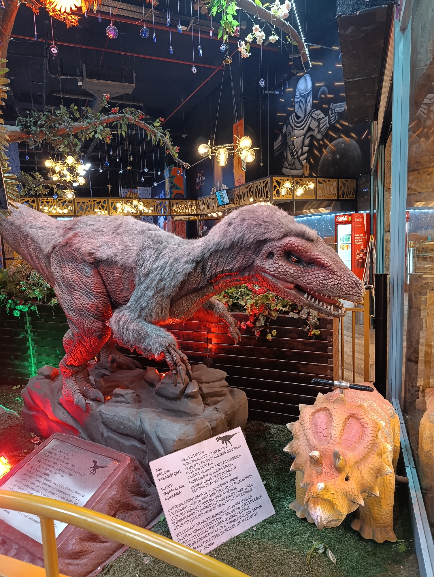 The image depicts an indoor scene featuring dinosaur models, likely in a themed attraction or restaurant, in Gaziosmanpaşa, Turkey. In the foreground, a life-sized, animatronic velociraptor model is displayed, characterized by its feathered texture, sharp claws, and reptilian features, illuminated by red and green lights. To the right of the velociraptor is a smaller, brightly colored triceratops model, possibly a rideable toy. Information placards are visible near the base of the velociraptor, one in English detailing its characteristics and another in Turkish, providing similar information. The background reveals a dark ceiling with hanging lights, branches with artificial leaves and flowers, and a mural on the wall depicting a figure in futuristic armor holding a weapon against a celestial backdrop. A Coca-Cola refrigerator is also visible in the background, suggesting a commercial establishment. The overall environment appears to be dimly lit, with spotlights highlighting the dinosaur models.