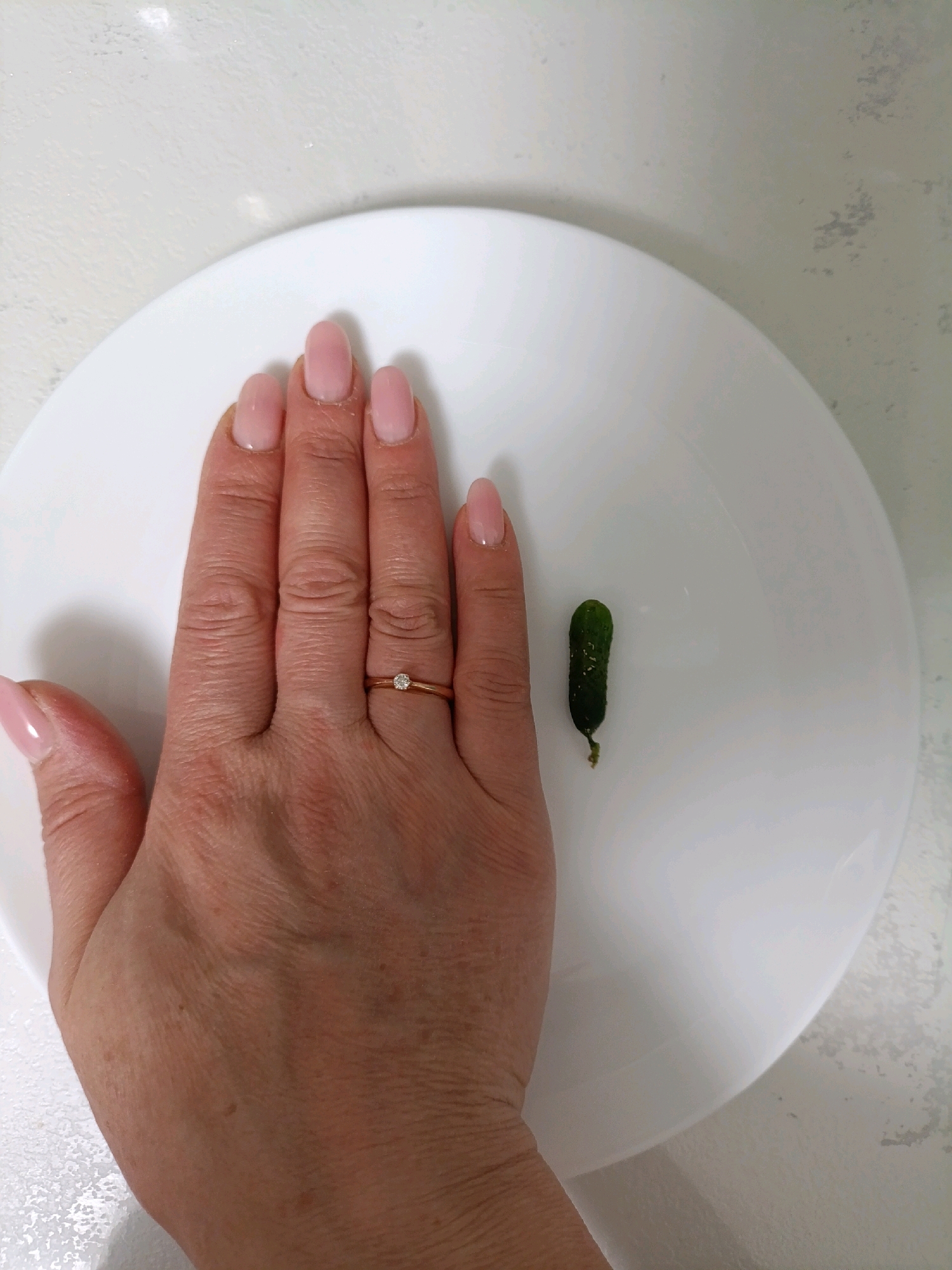 A person's hand, with neatly manicured pink nails and a delicate gold ring with a small diamond, rests on a white plate. To the right of the hand, a tiny, dark green pickle, no larger than a fingernail, sits on the same plate. The background appears to be a light-colored, textured surface, possibly a table. The image does not contain any information that would allow for identification of its location in Misaylovo, Russia, or any specific environmental context beyond what is visible on the plate and its immediate surroundings.